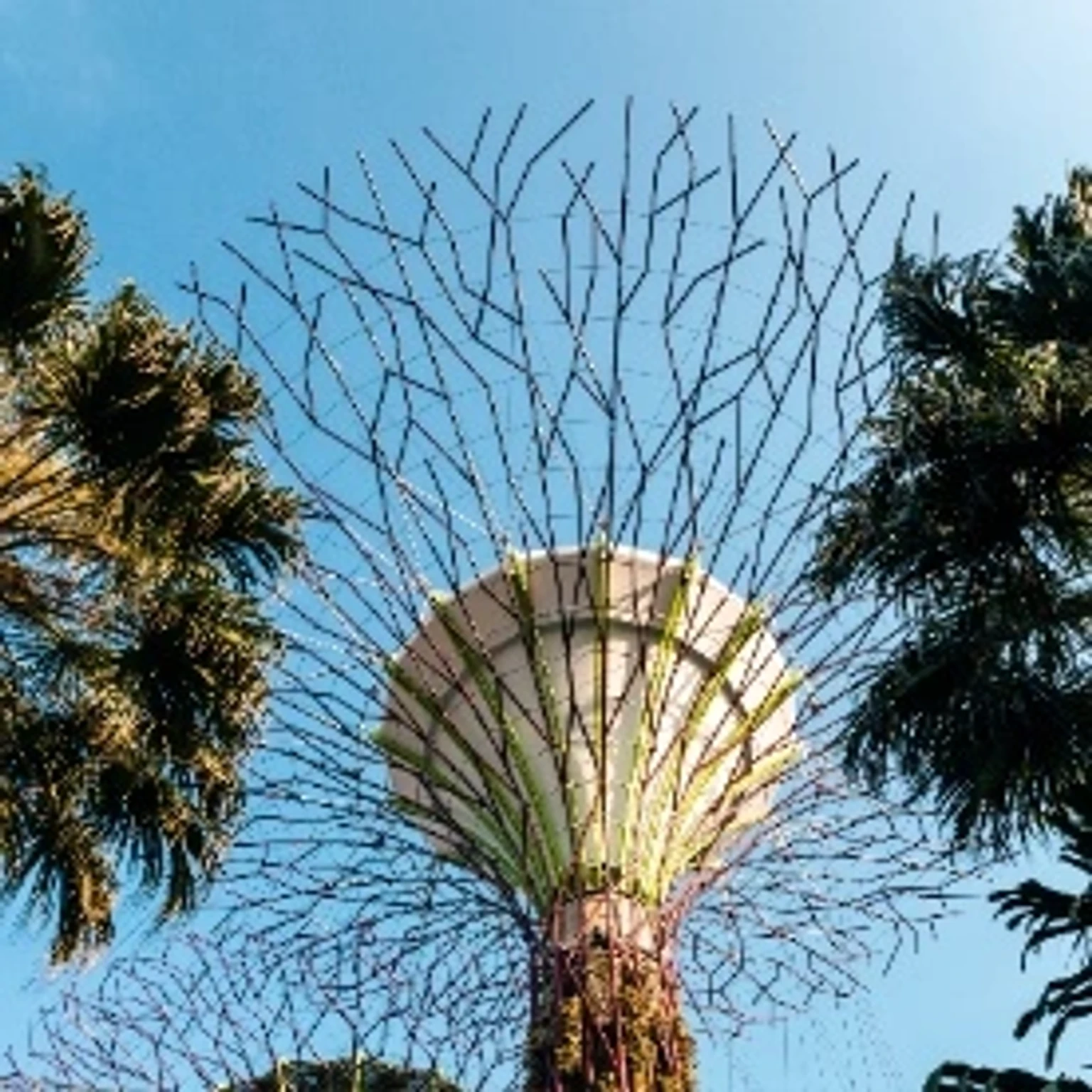 Holiday package advertisement featuring popular attractions and experiences in Singapore.