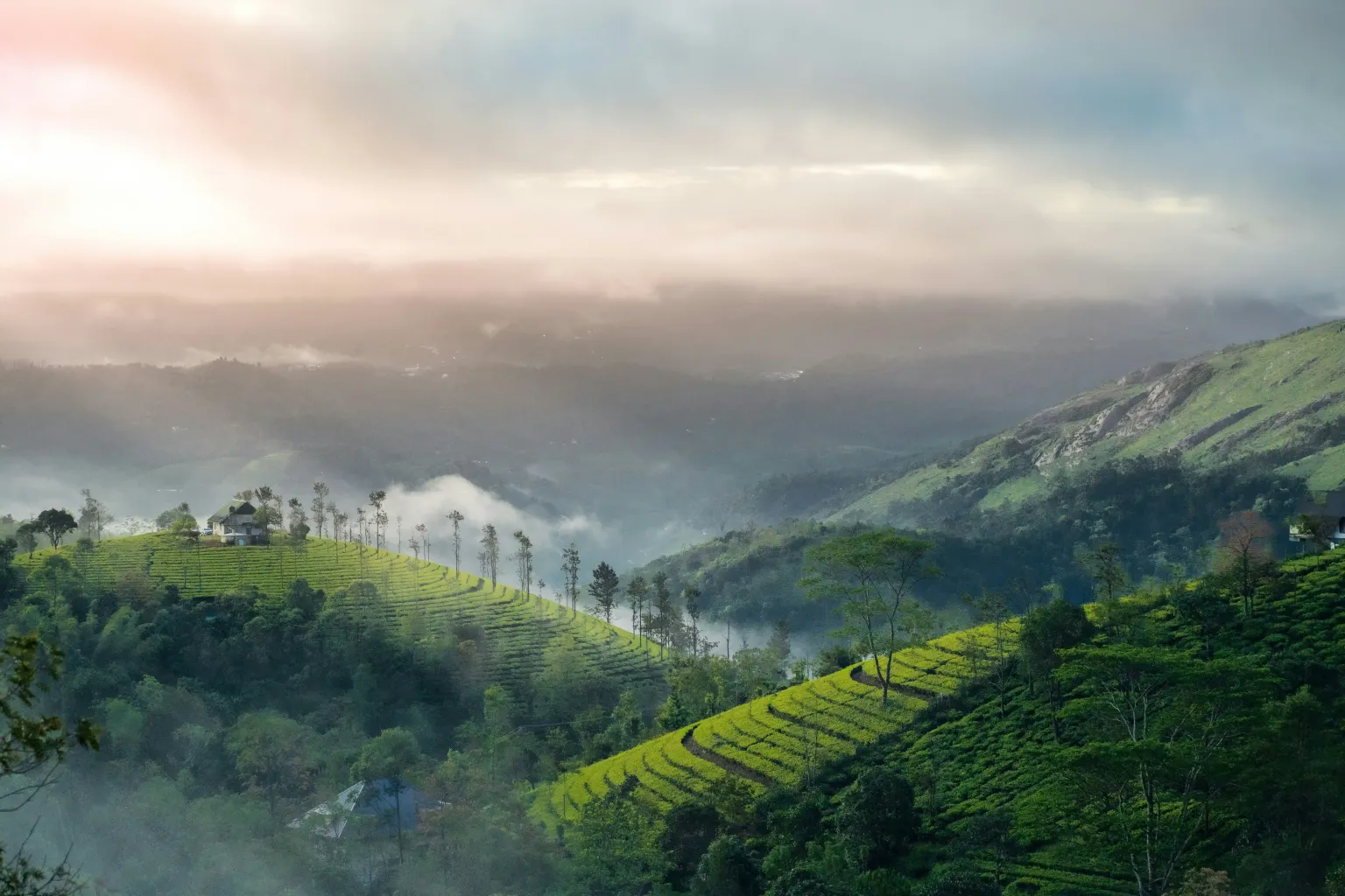 Munnar Hills1.jpg