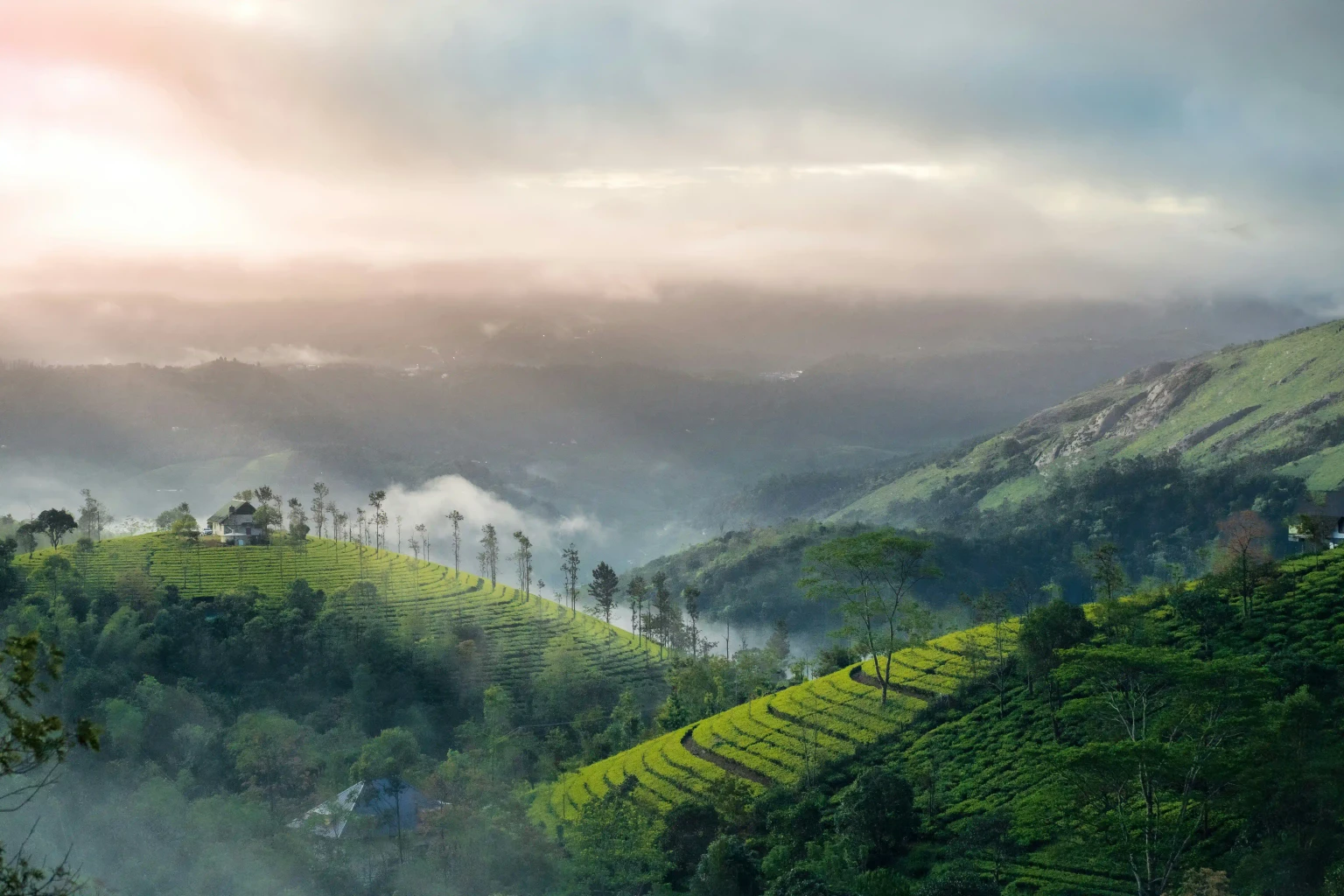 Munnar Hills1.jpg