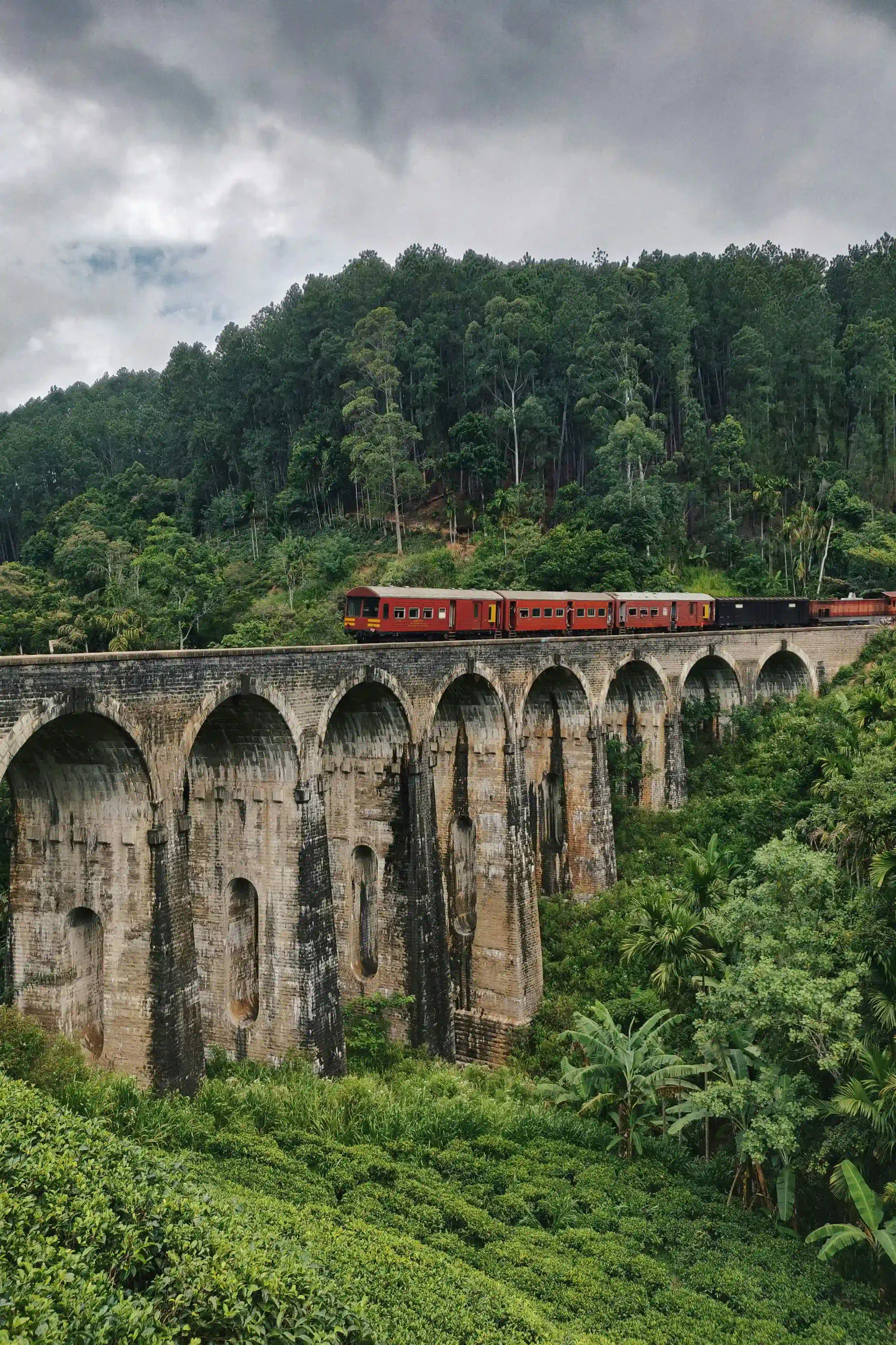 Nature Trails Of Lanka