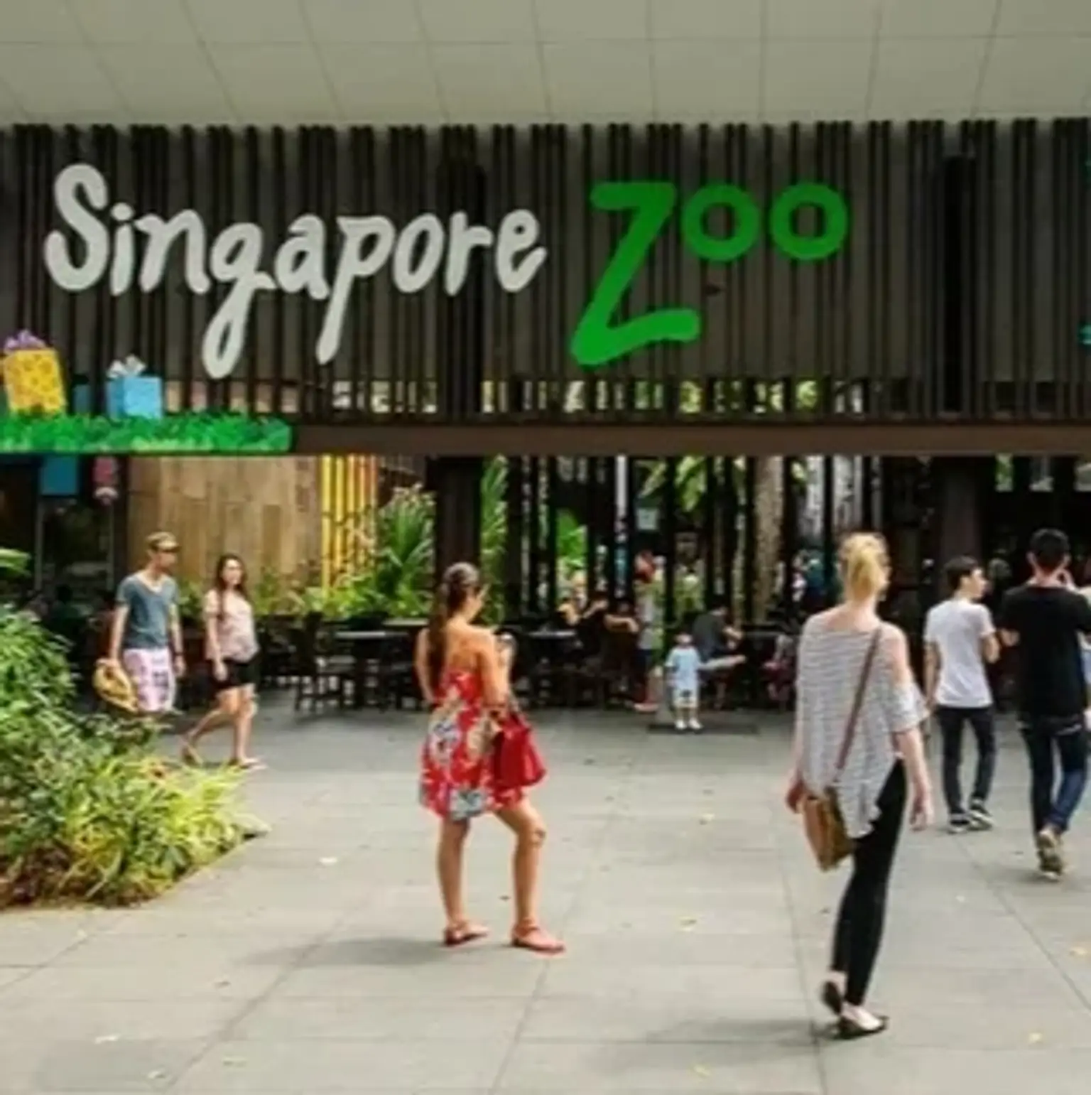 Holiday package offers showcasing Singapore's attractions and experiences.