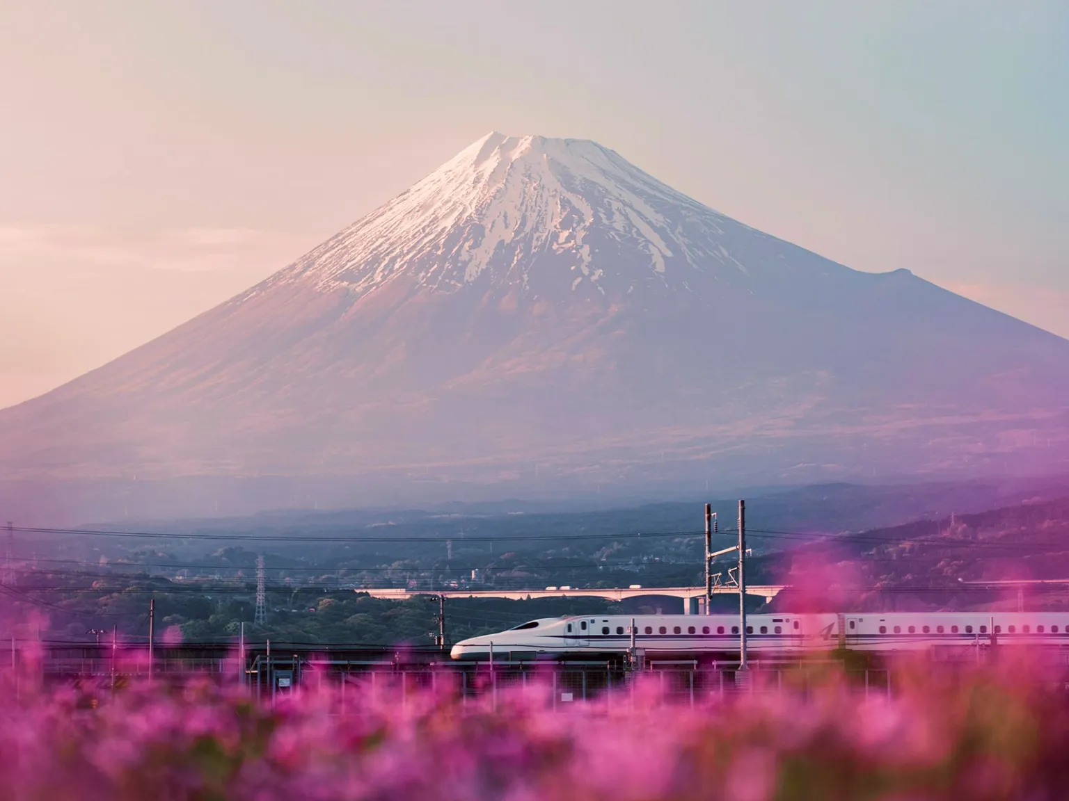 Paradise for Two Japan