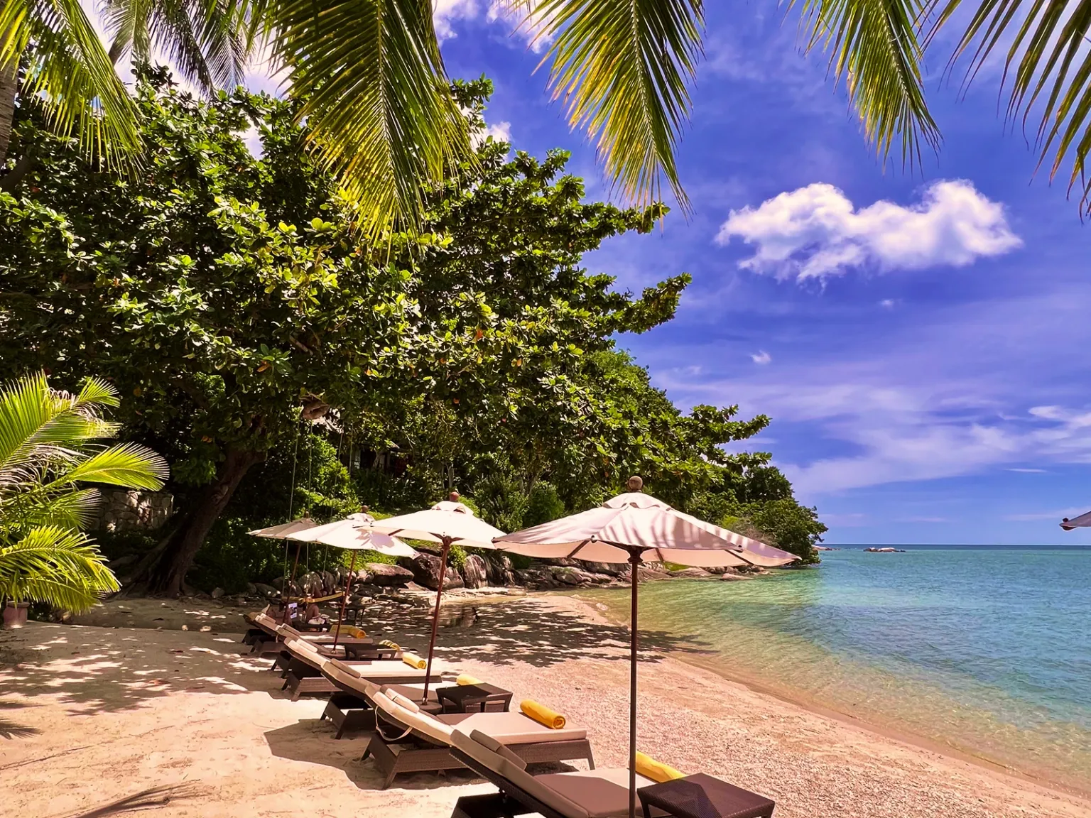 Paradise for Two