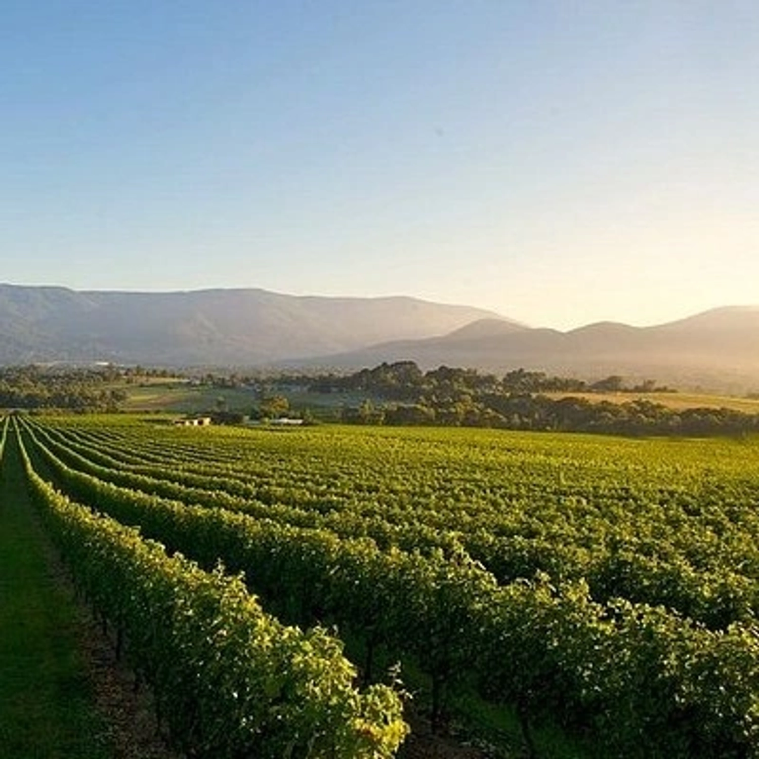 Tropical holiday package in Australia featuring stunning beaches and vibrant landscapes.