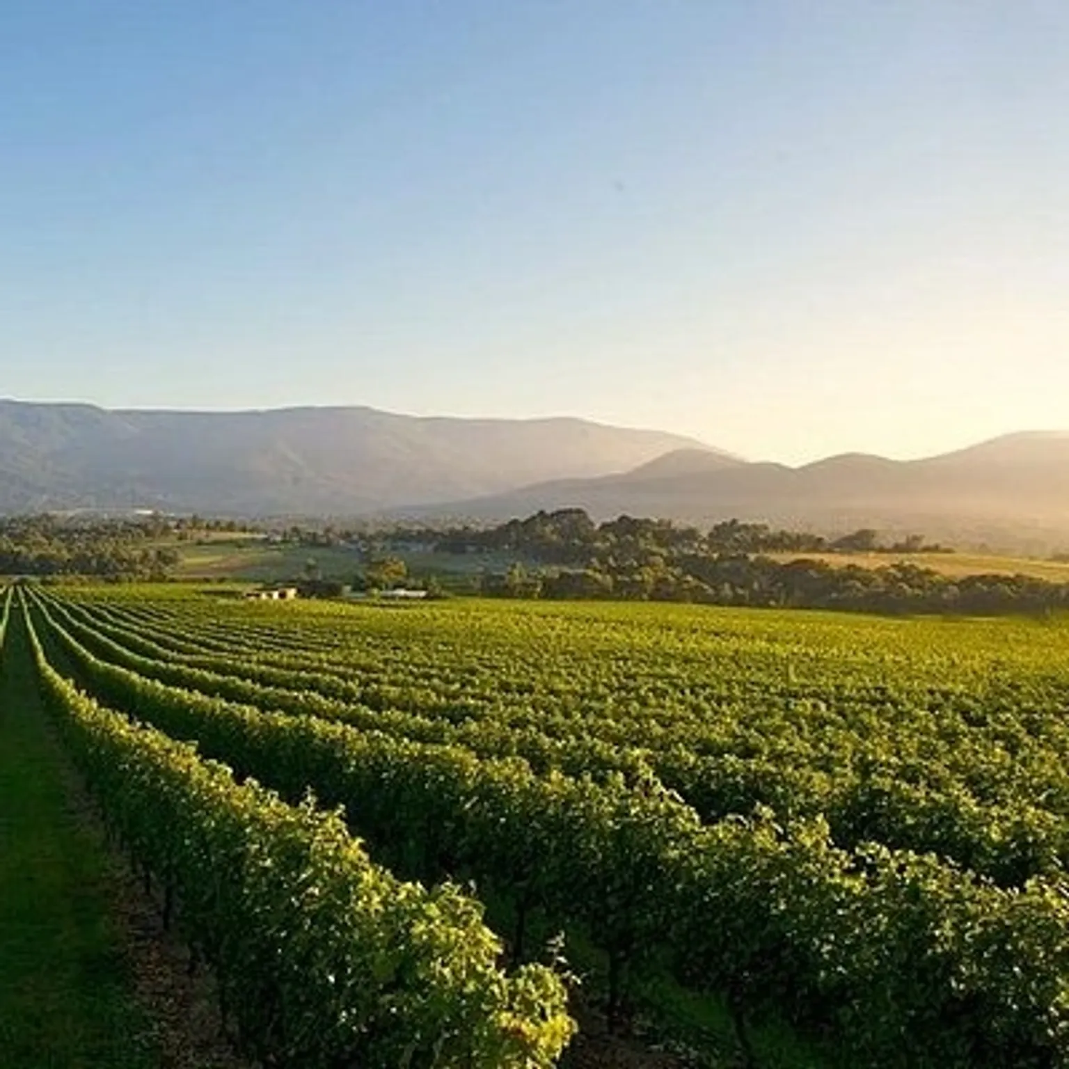 Tropical holiday package in Australia featuring stunning beaches and vibrant landscapes.