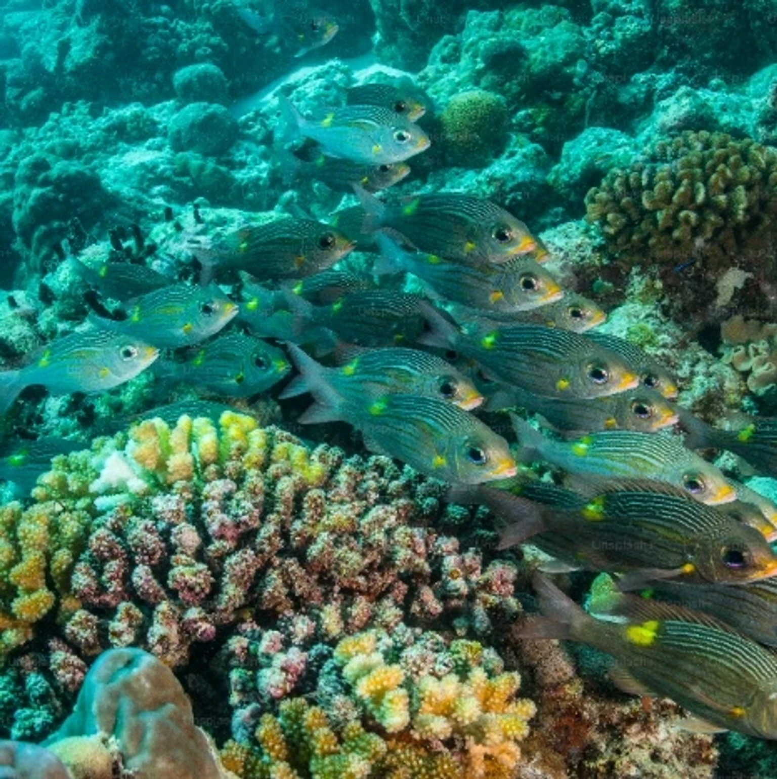 Holiday packages showcasing stunning Australian landscapes and attractions.