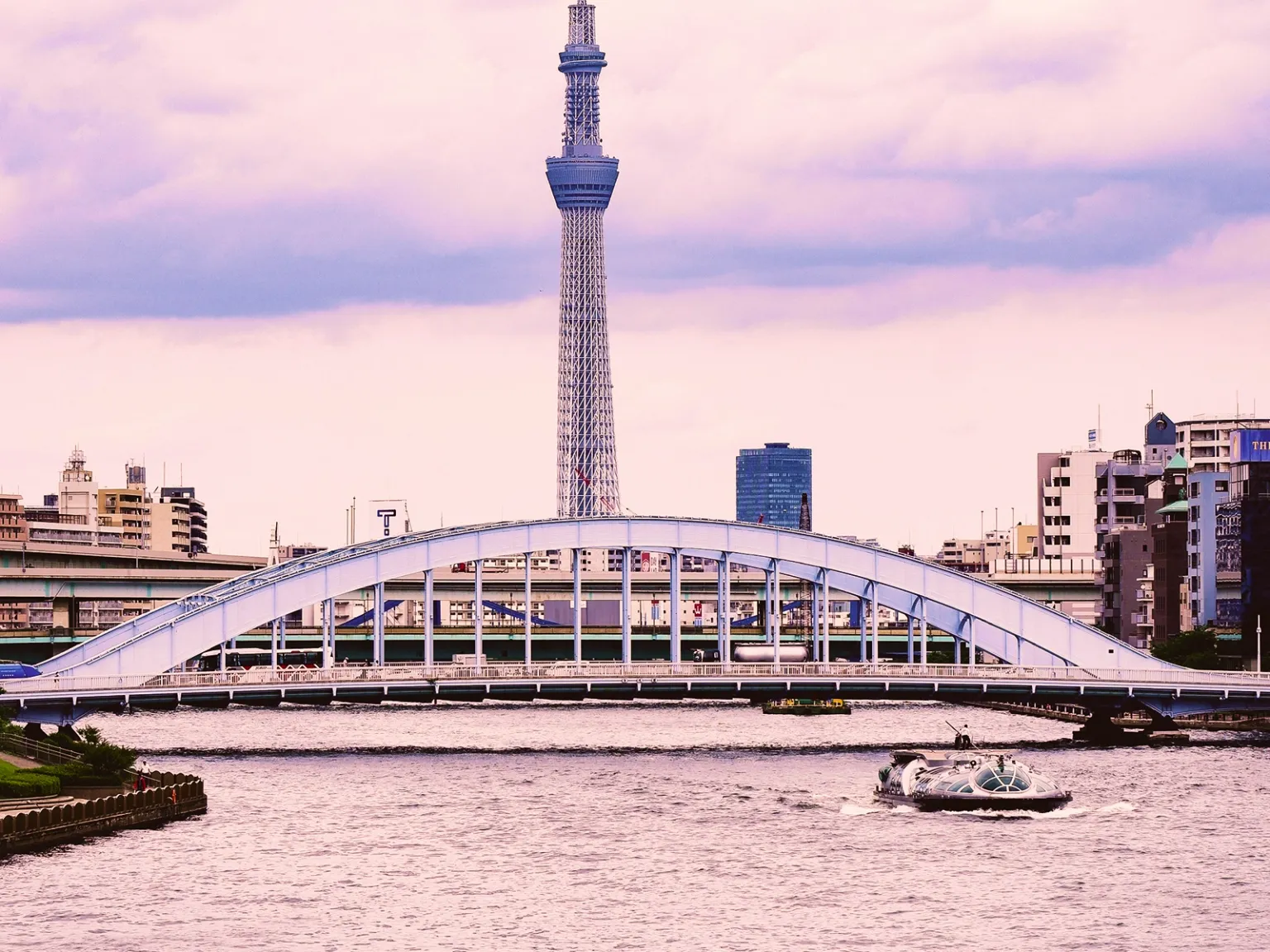 Retail Therapy in Japan