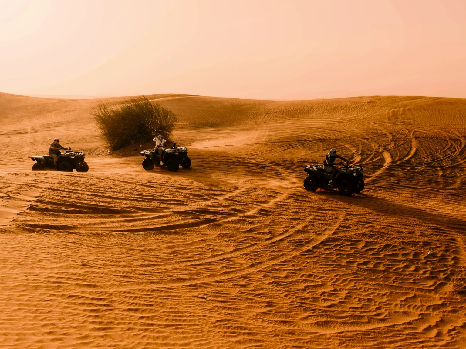 Road Cruise with the Crew UAE