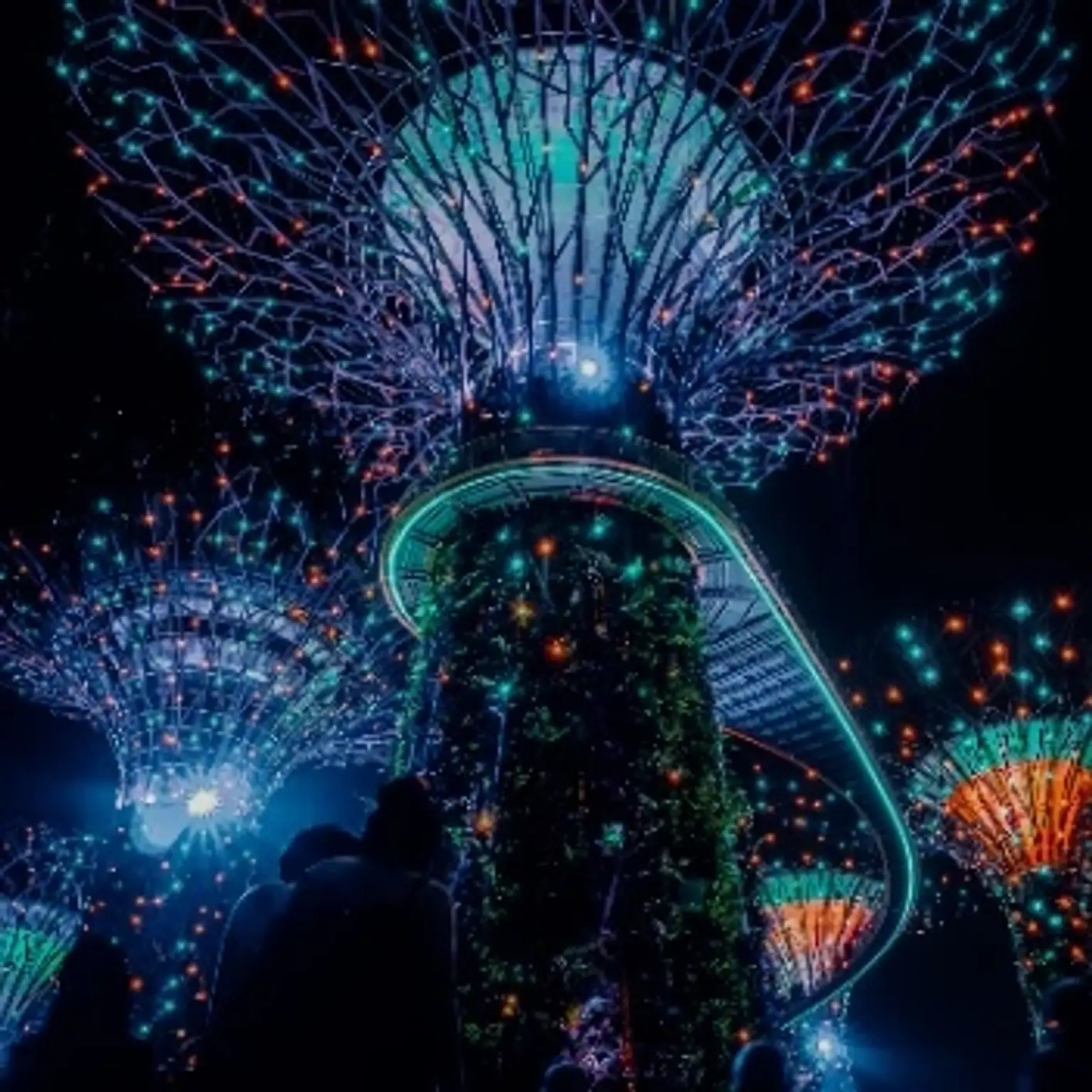 Holiday packages showcasing vibrant attractions and experiences in Singapore.