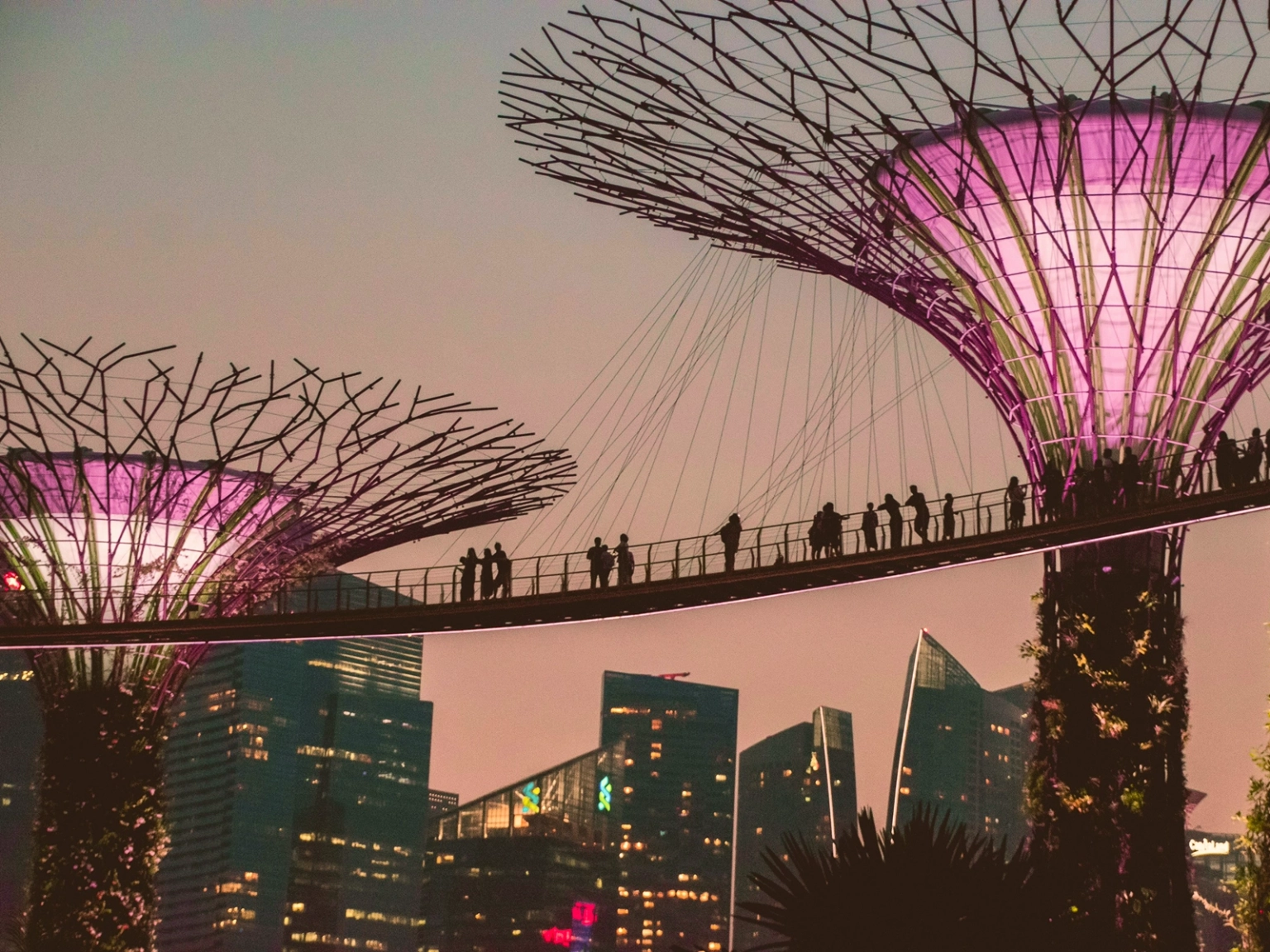 Rooftop Singapore for Two