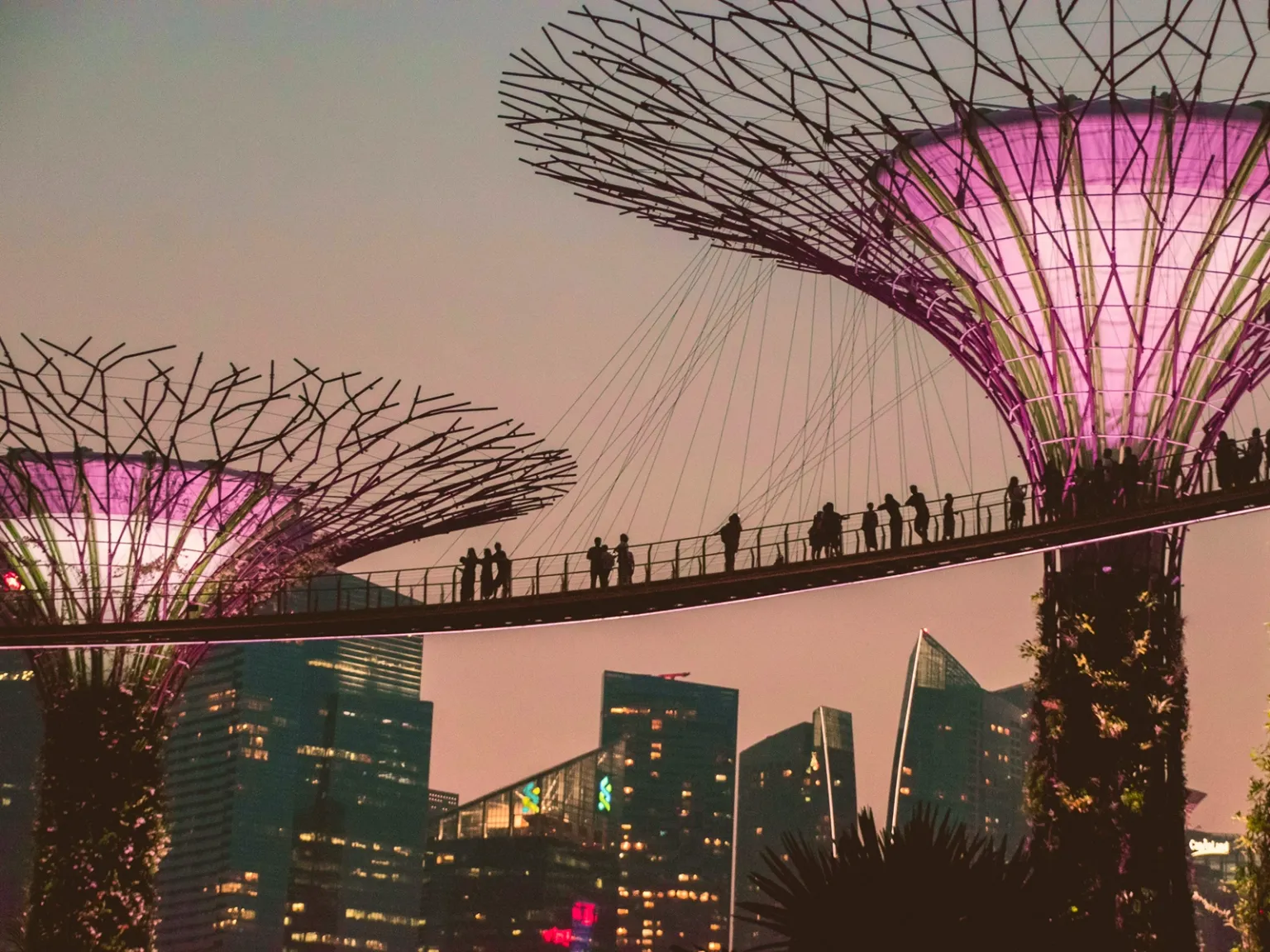 Rooftop Singapore for Two