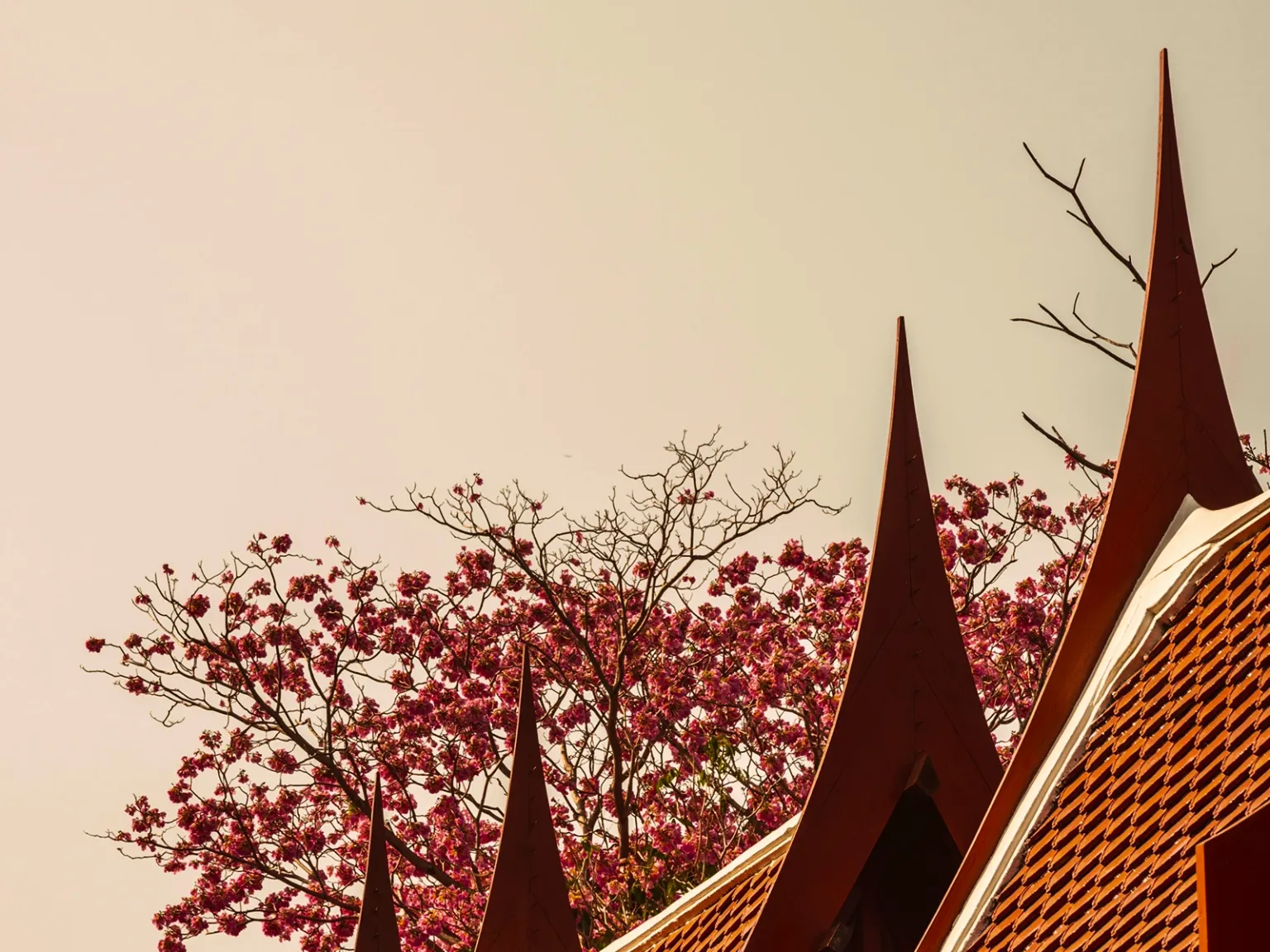 Rooftop Thailand for Two