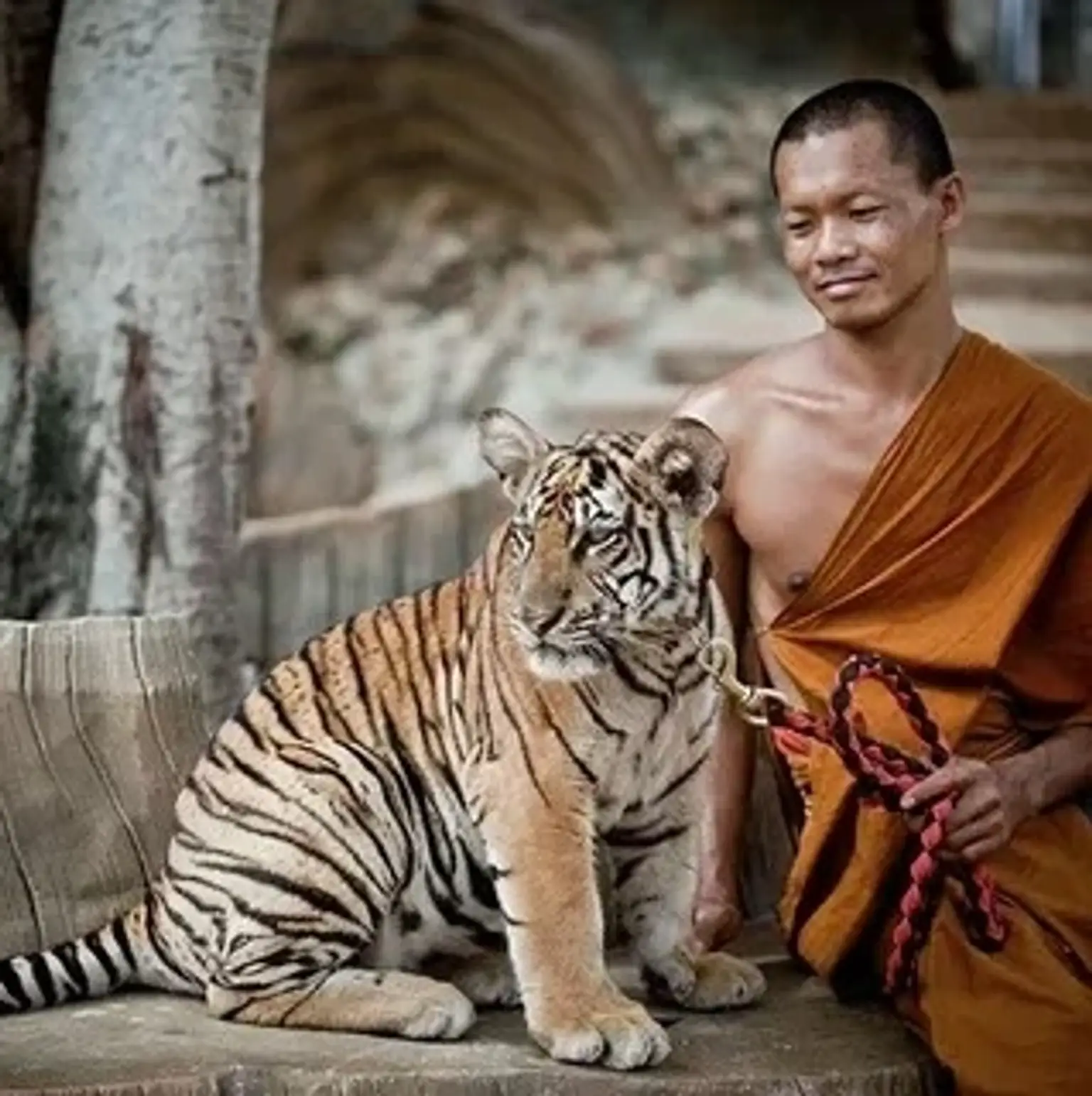 Colorful holiday packages showcasing tropical destinations in Thailand.