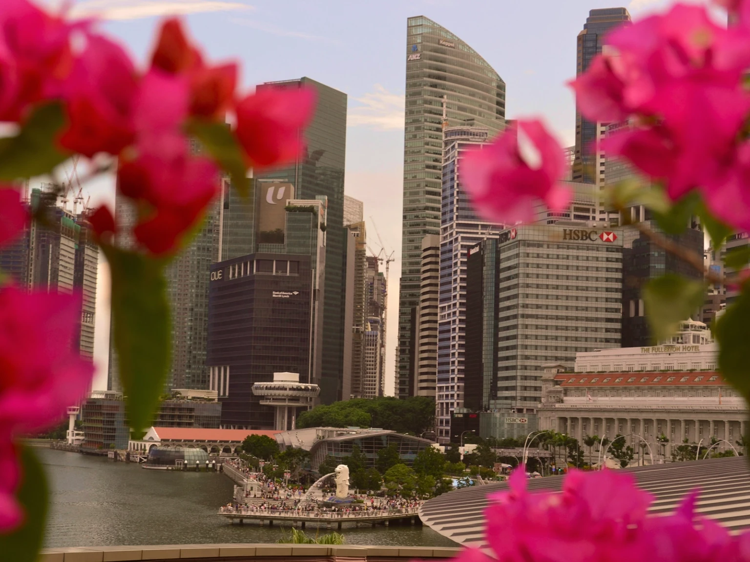 Singapore Drive & Romance