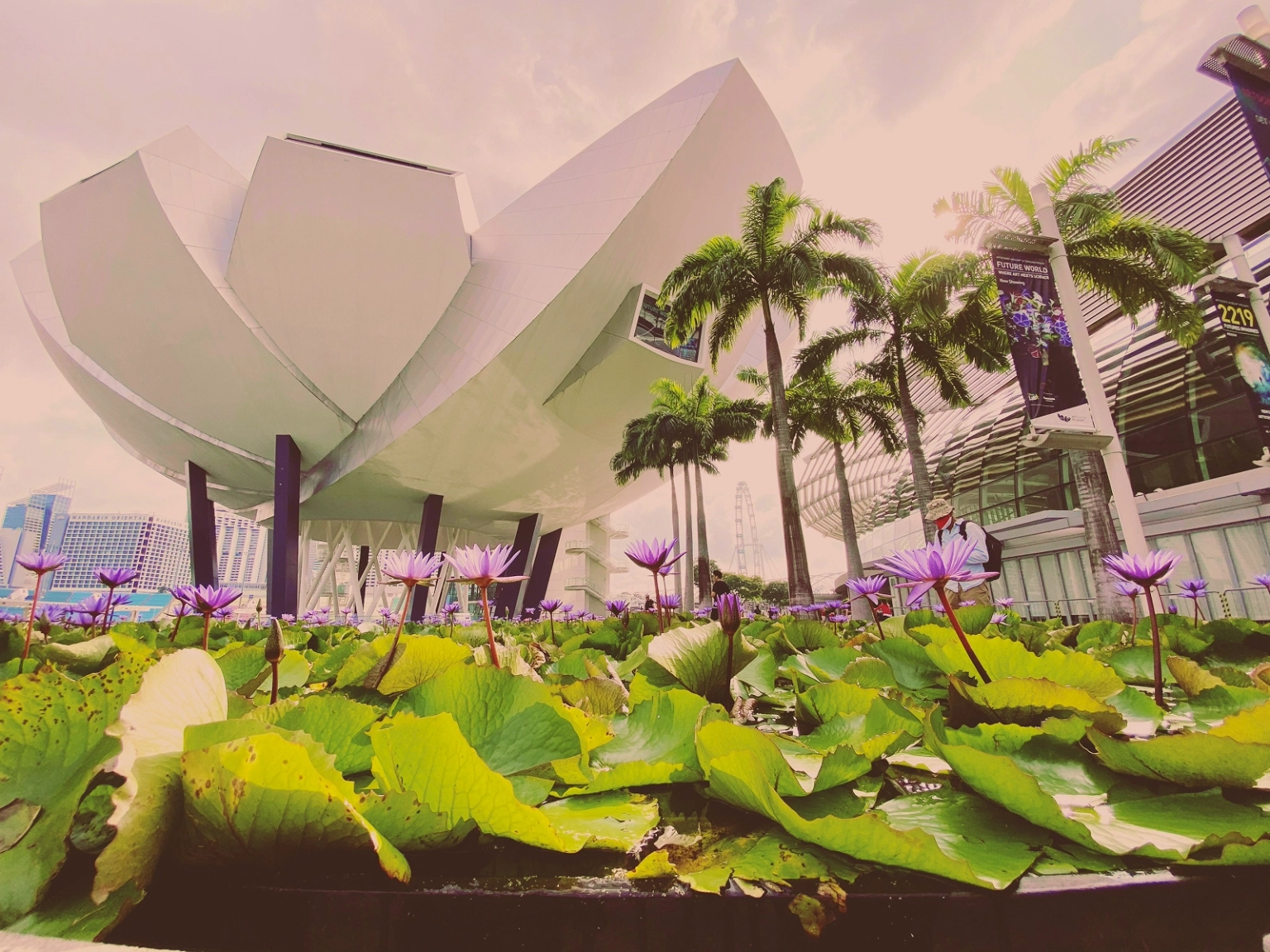 Singapore Heritage Journey