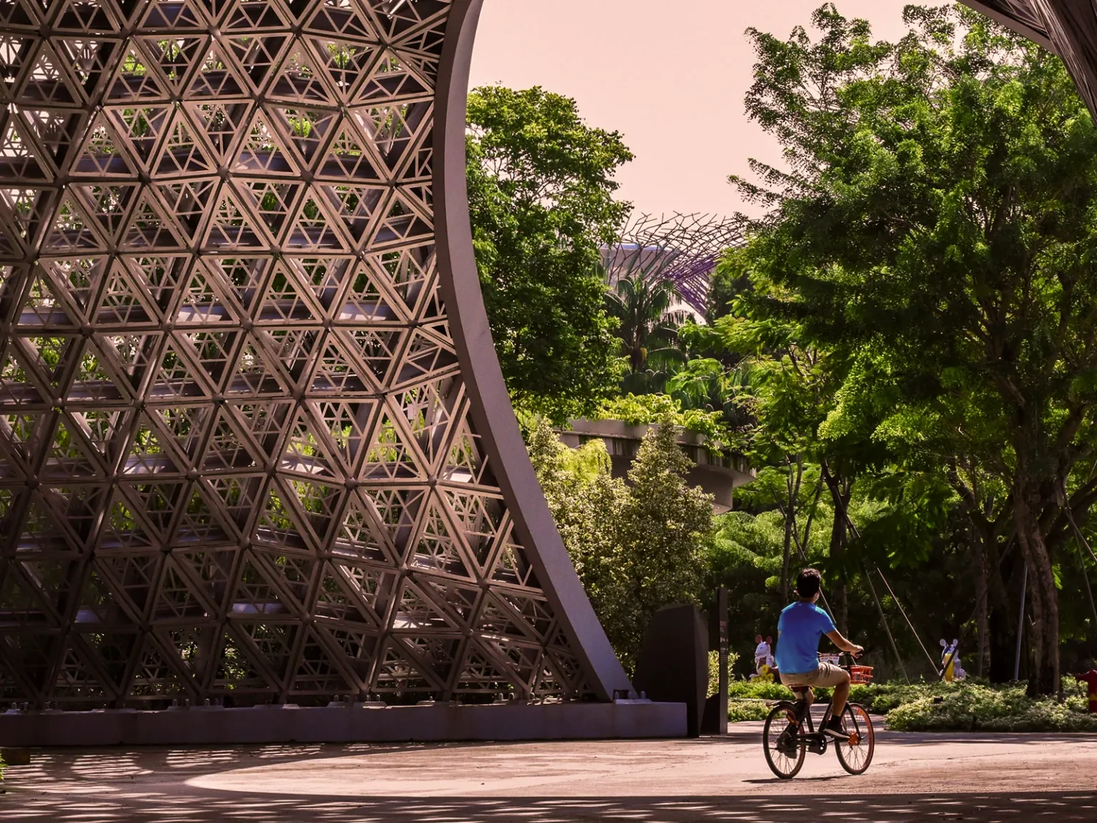 Singapore Road Diaries