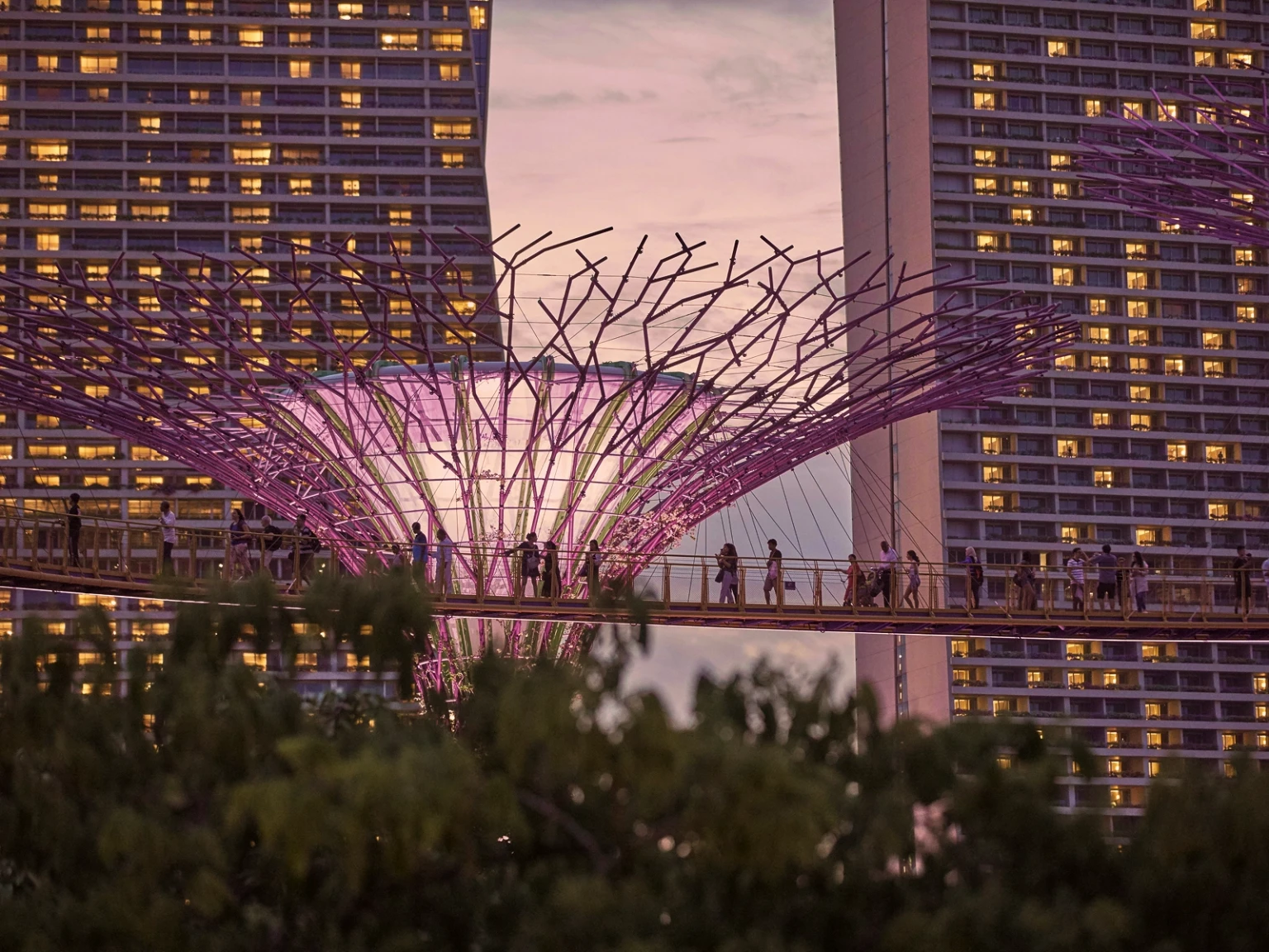 Singapore Romantic Reverie