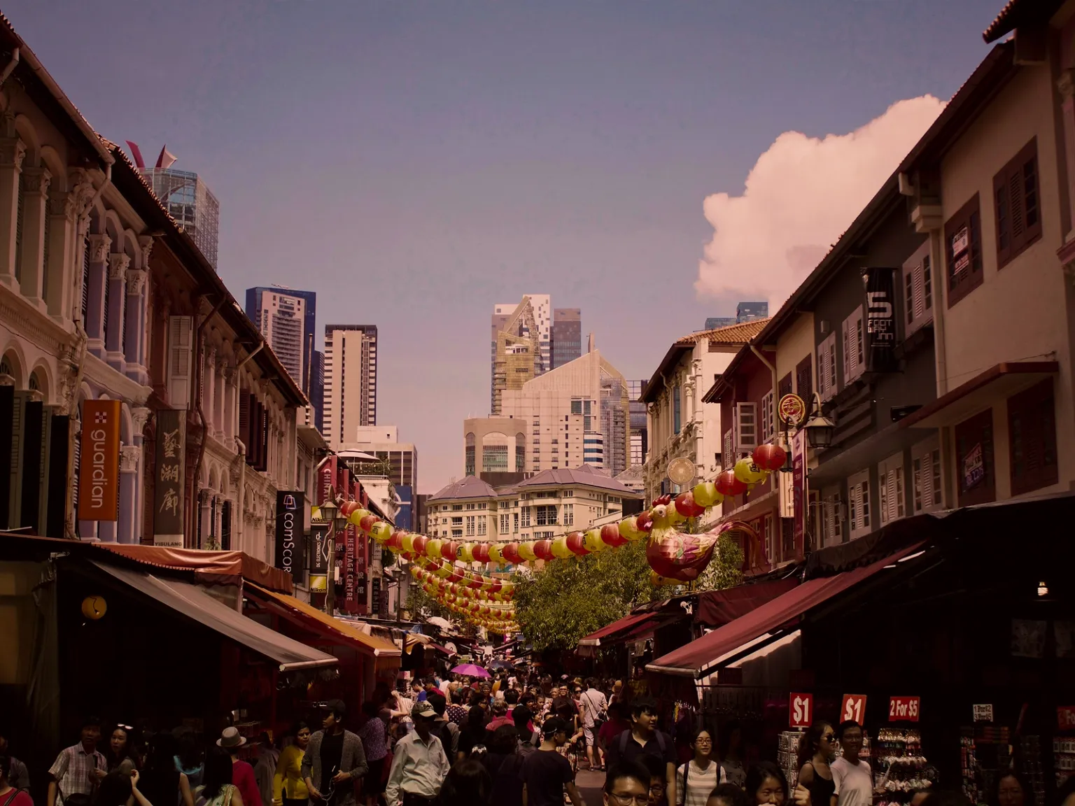 Singapore Shopper's Dream