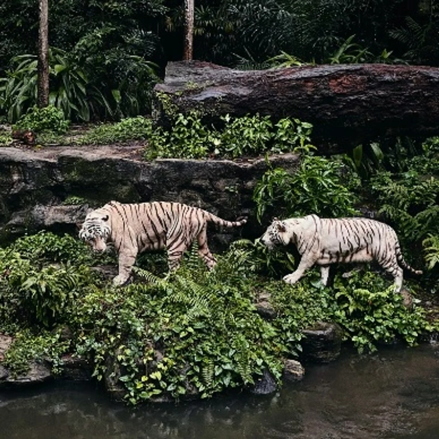 Holiday package offerings featuring Singapore's skyline and attractions in the background.