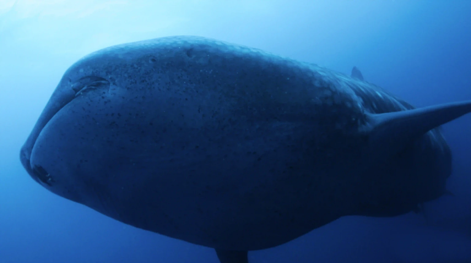 Soulful Ceylon Journey