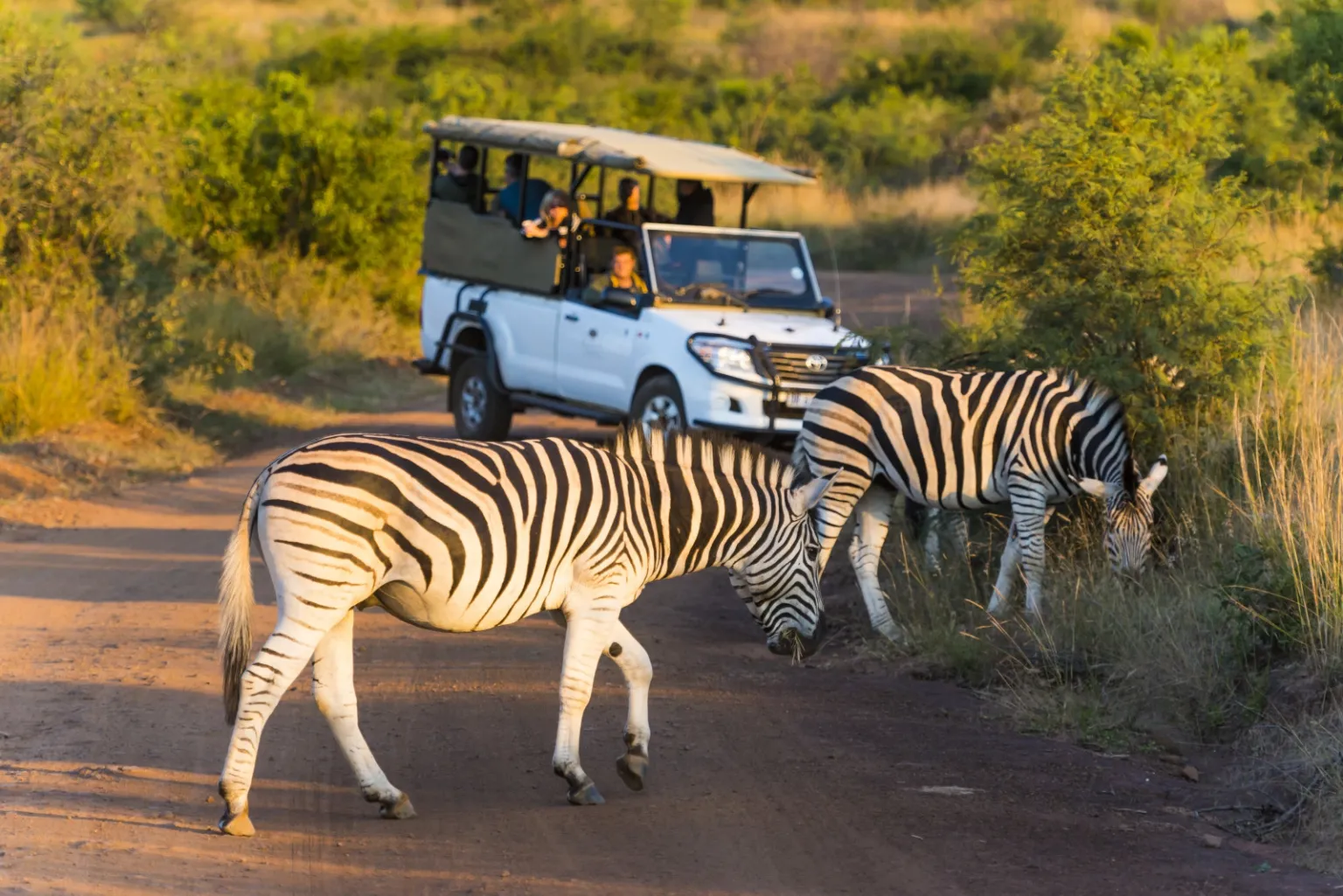 South Africa Grand Explorer