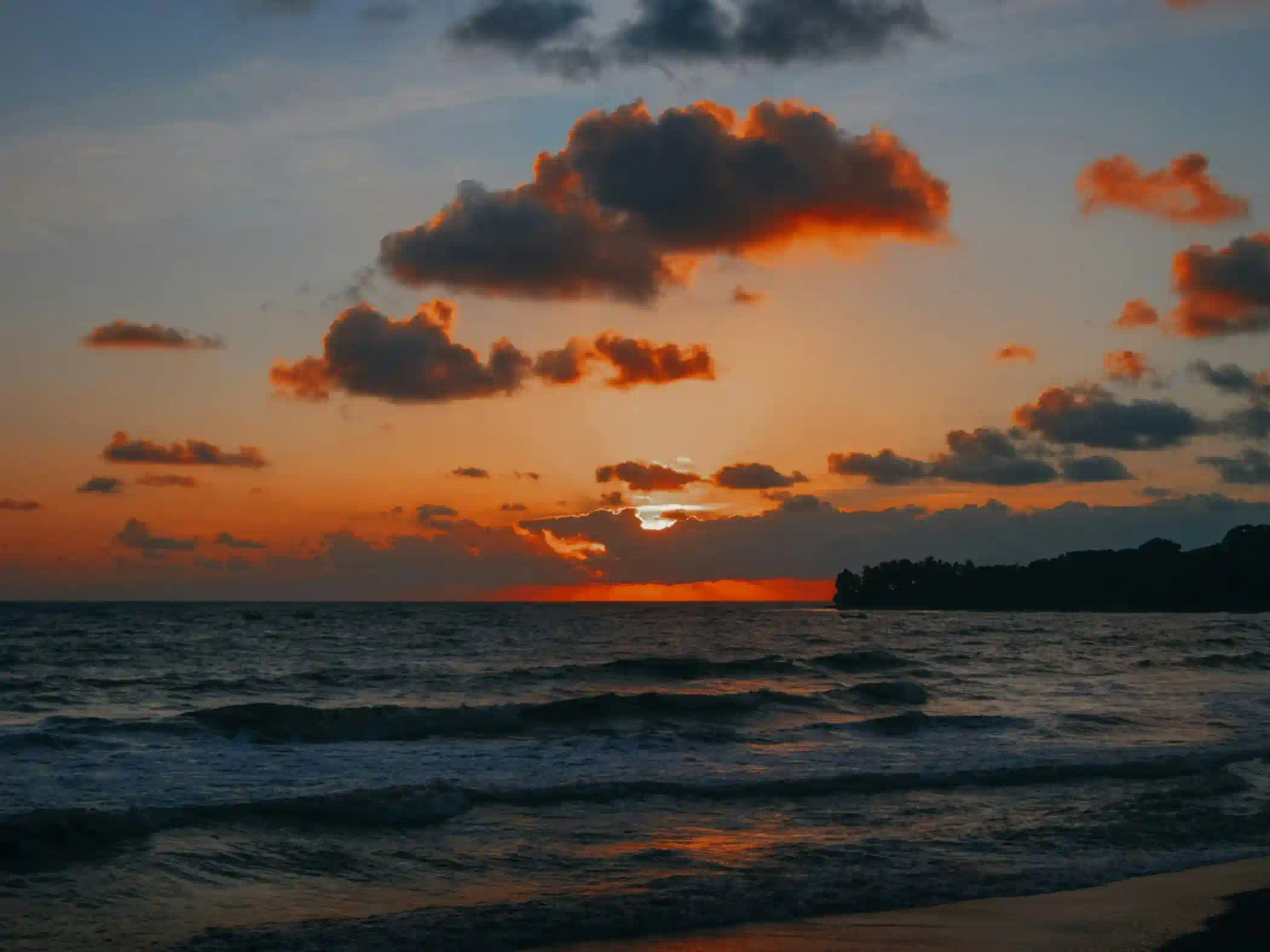 Tea Hills & Ocean Thrills