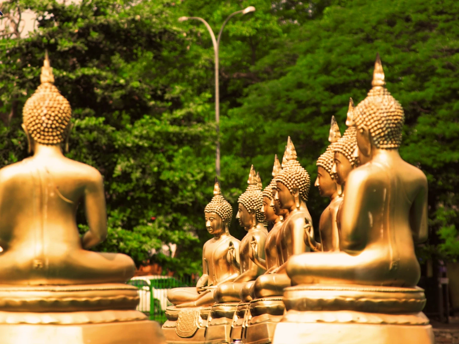 Temples & Two Souls