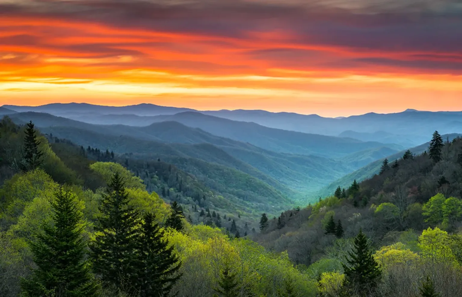 Tennessee Smoky Mountain Tour from NYC