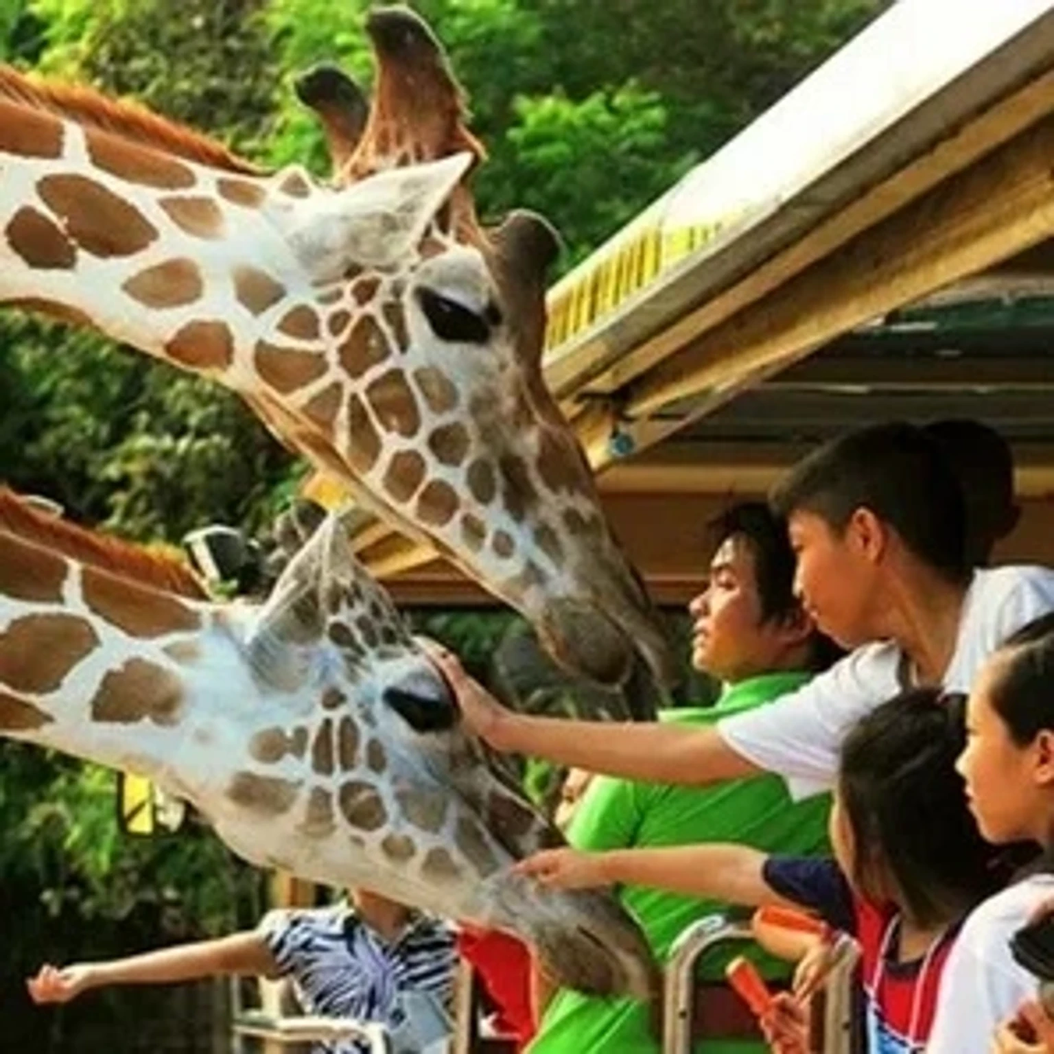 Colorful holiday packages showcasing beautiful landscapes and attractions of Thailand.