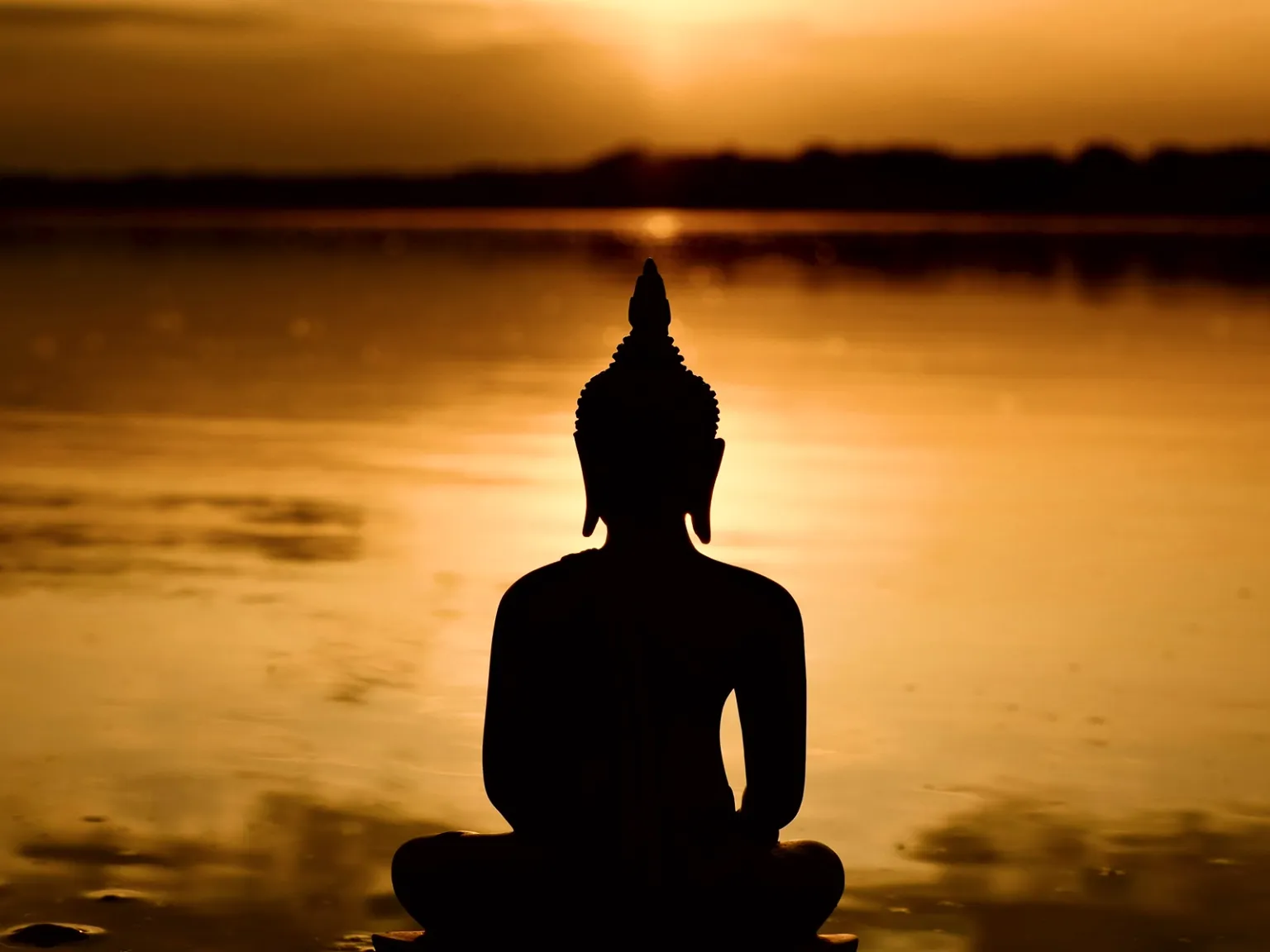 Thai Serenity