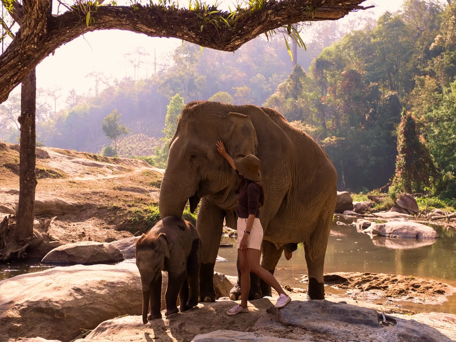 Thailand Nature Quest