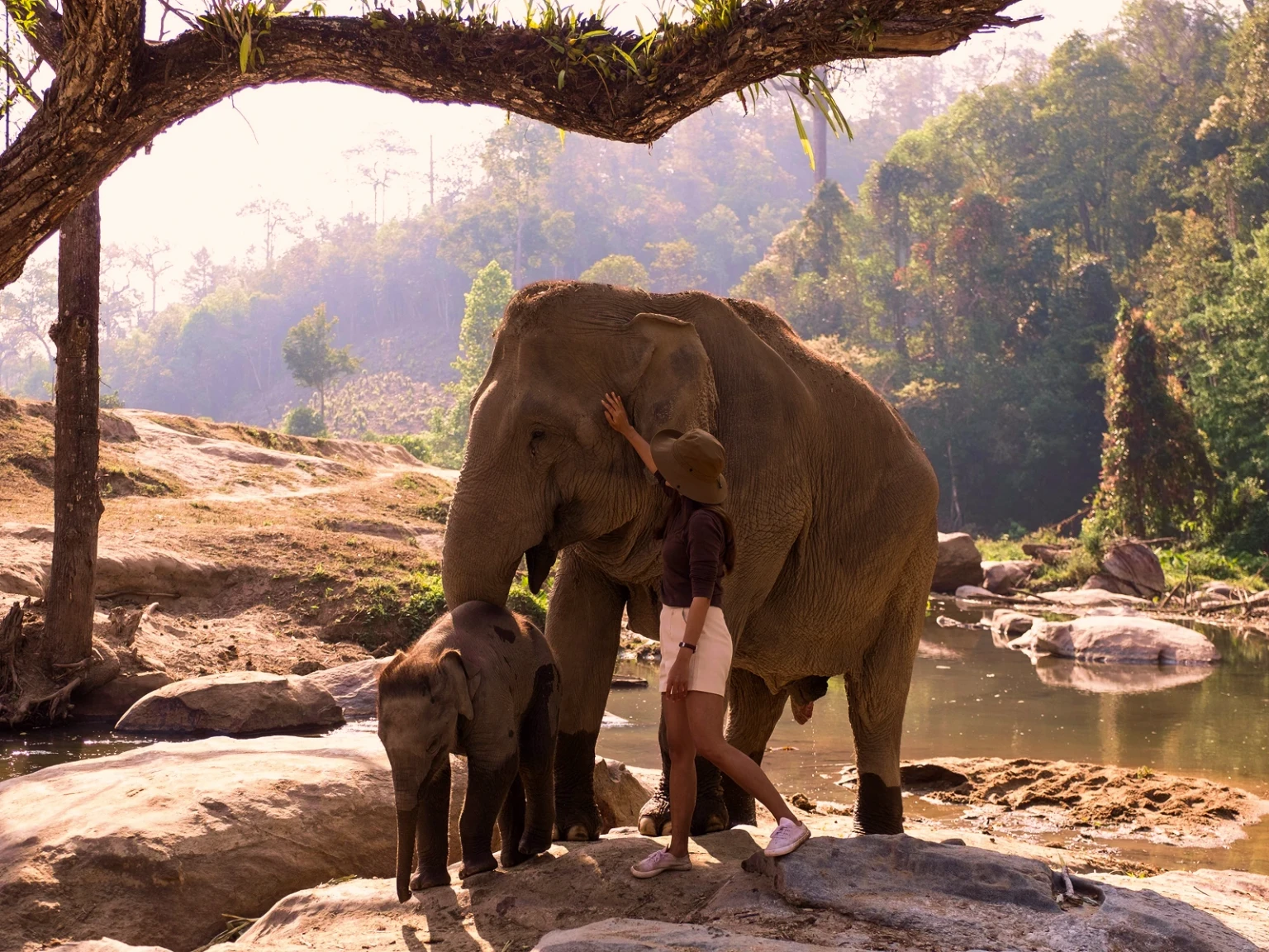 Thailand Nature Quest