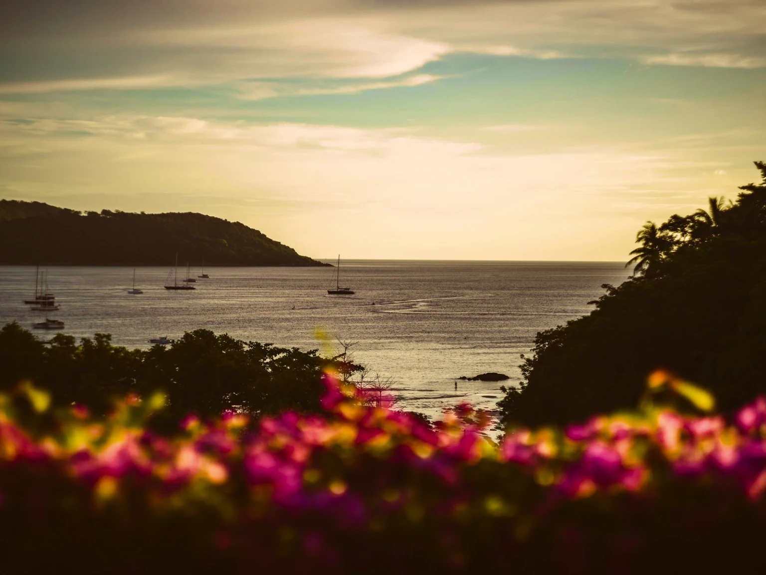 The Curated Thailand Experience