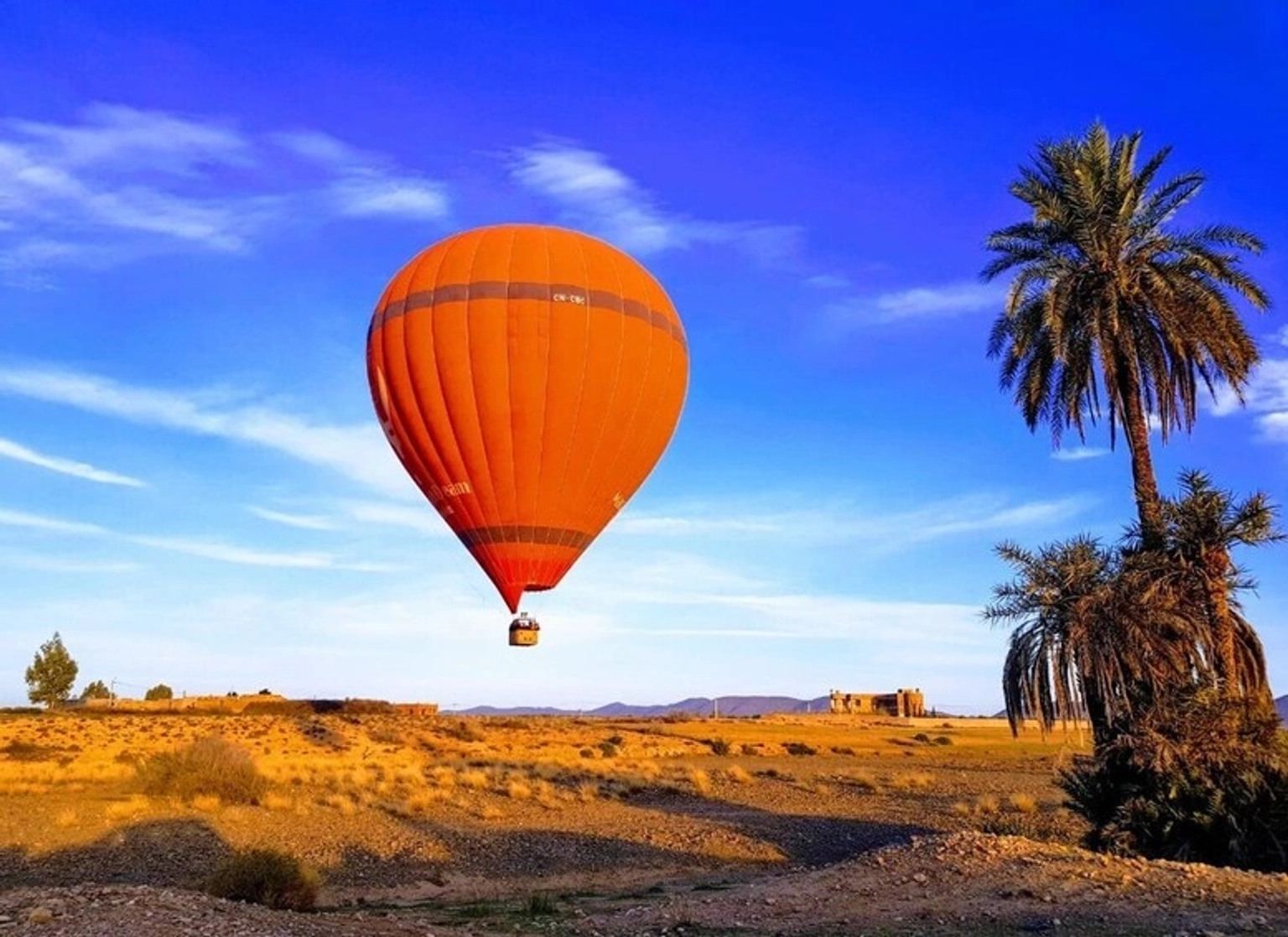 The Great Marrakech Escape
