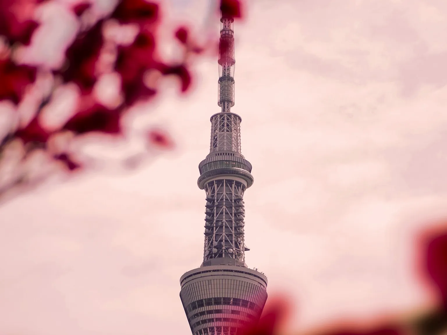 Tokyo City Explorer