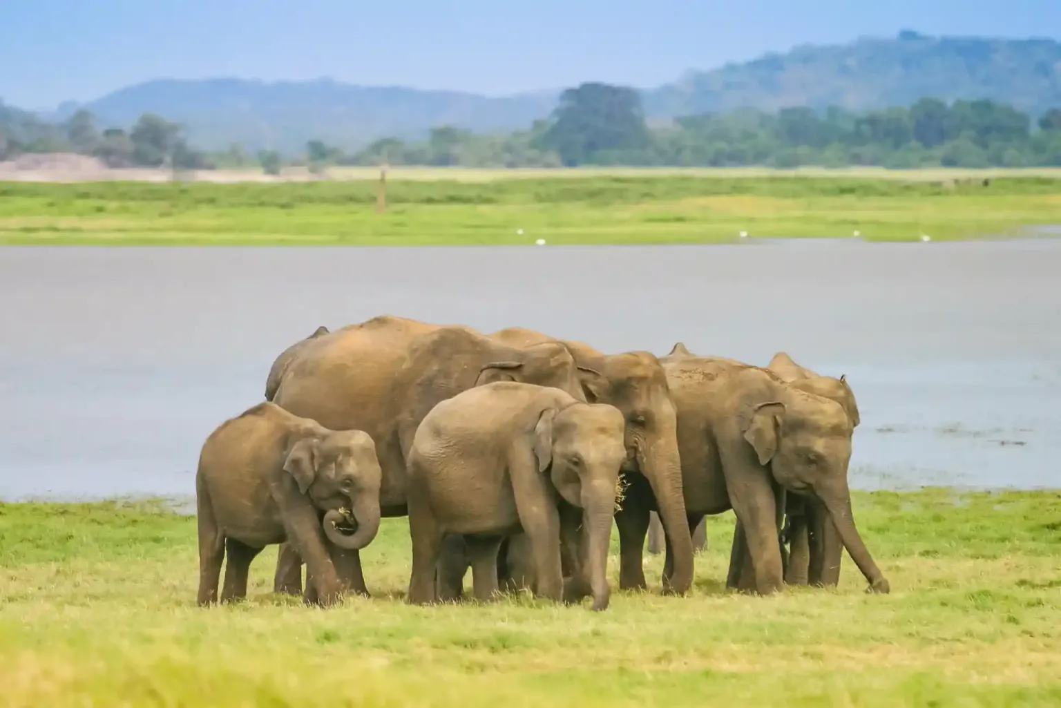 Tropical Trails Of Lanka