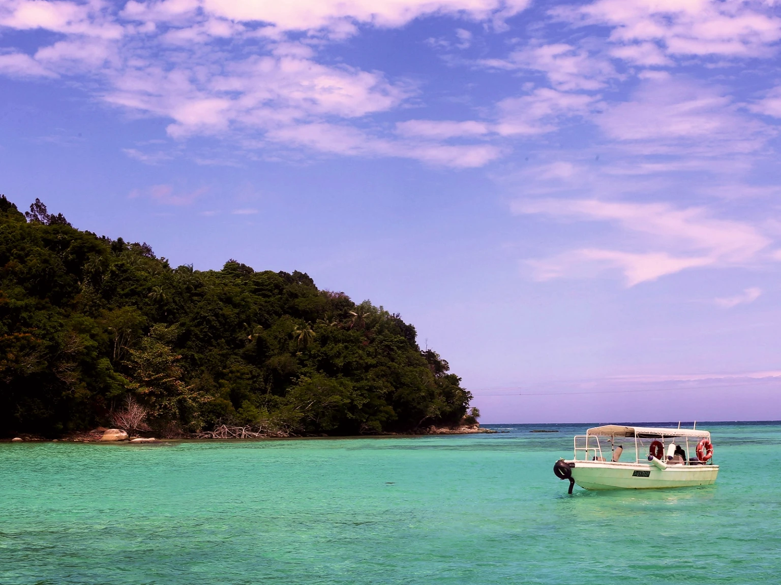 Tropical Twin Escape