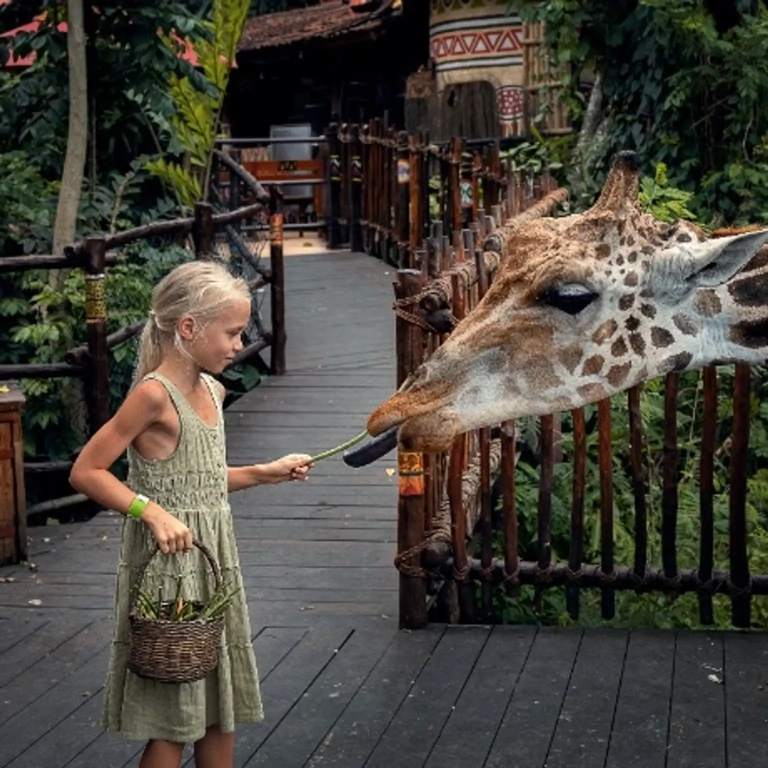 Stunning holiday package featuring tropical landscapes and cultural experiences in Thailand.