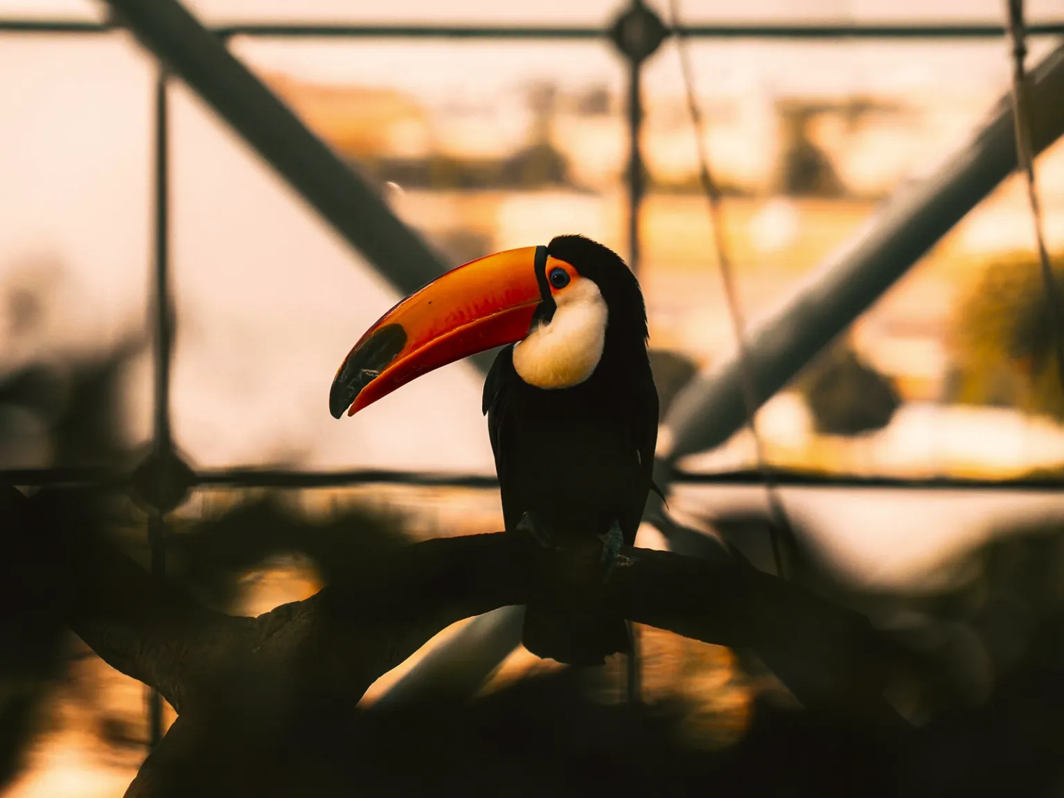UAE Nature Quest