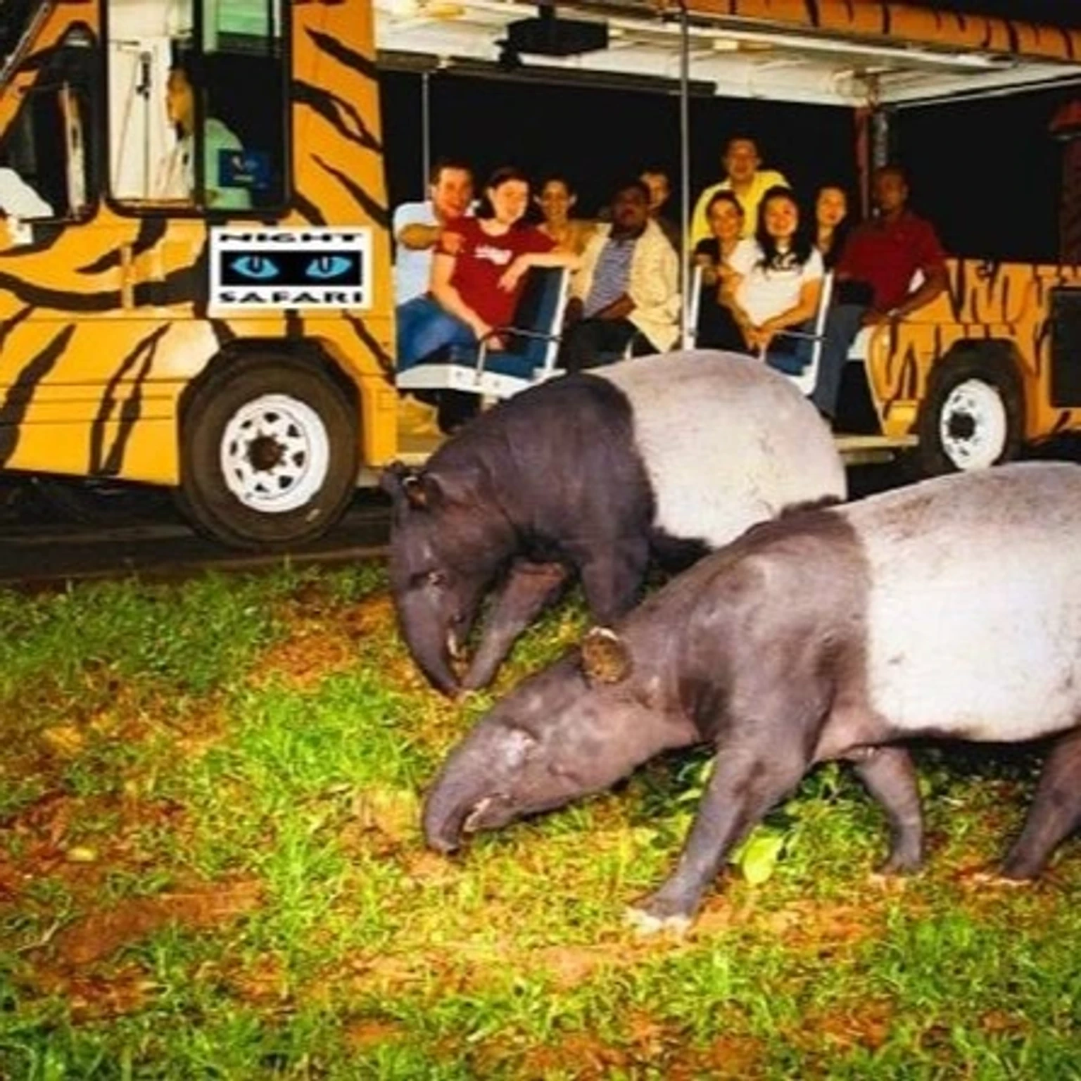 Stunning holiday package showcasing scenic landscapes and cultural experiences in Vietnam.