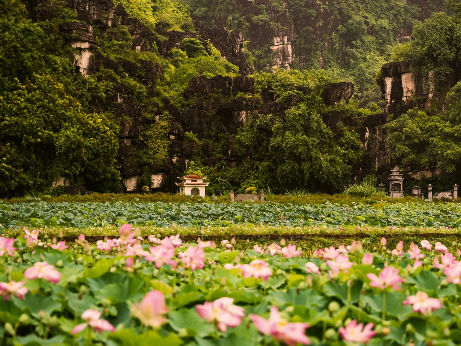 Vietnam Adventure Highs
