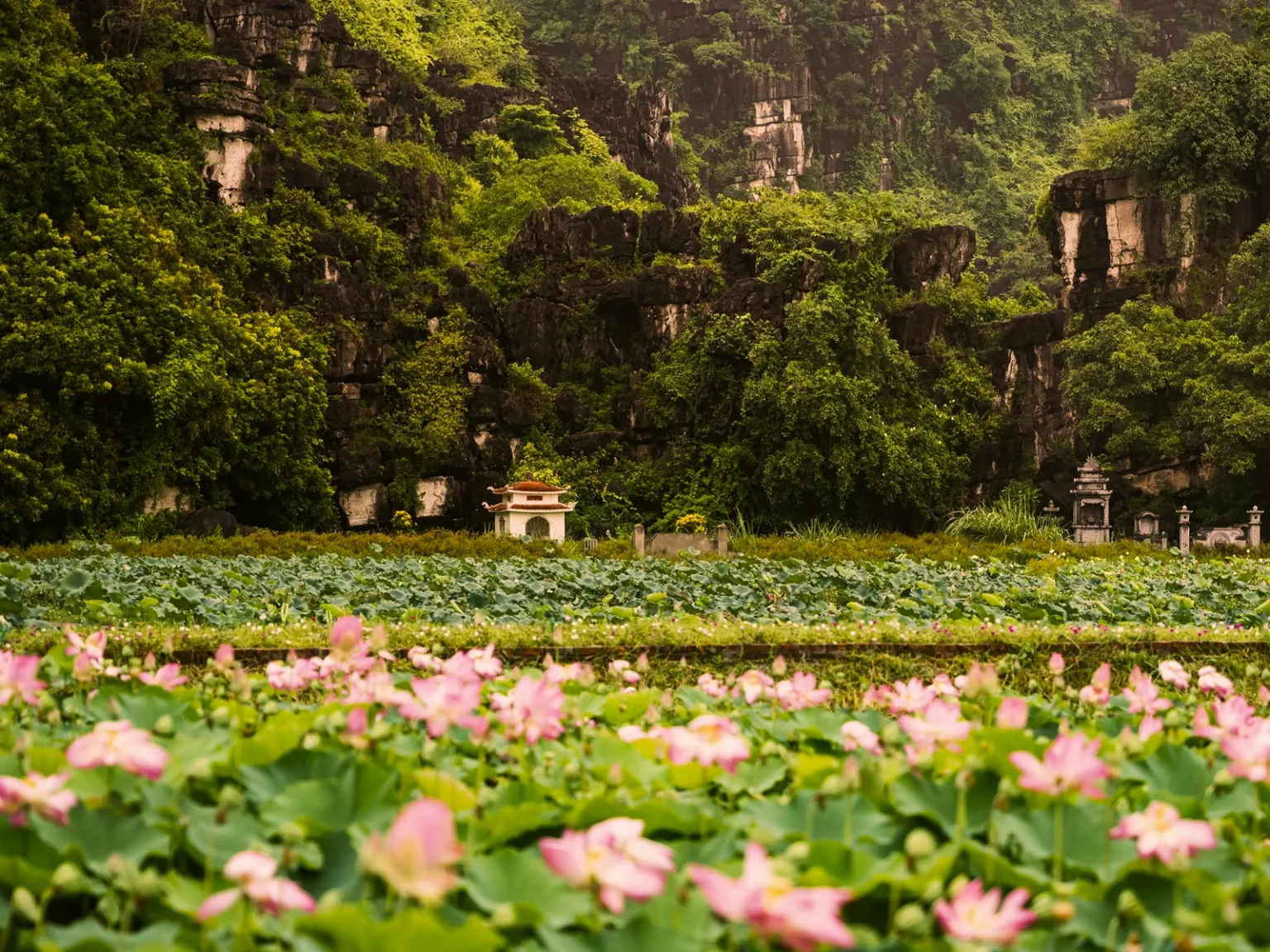 Vietnam Adventure Highs