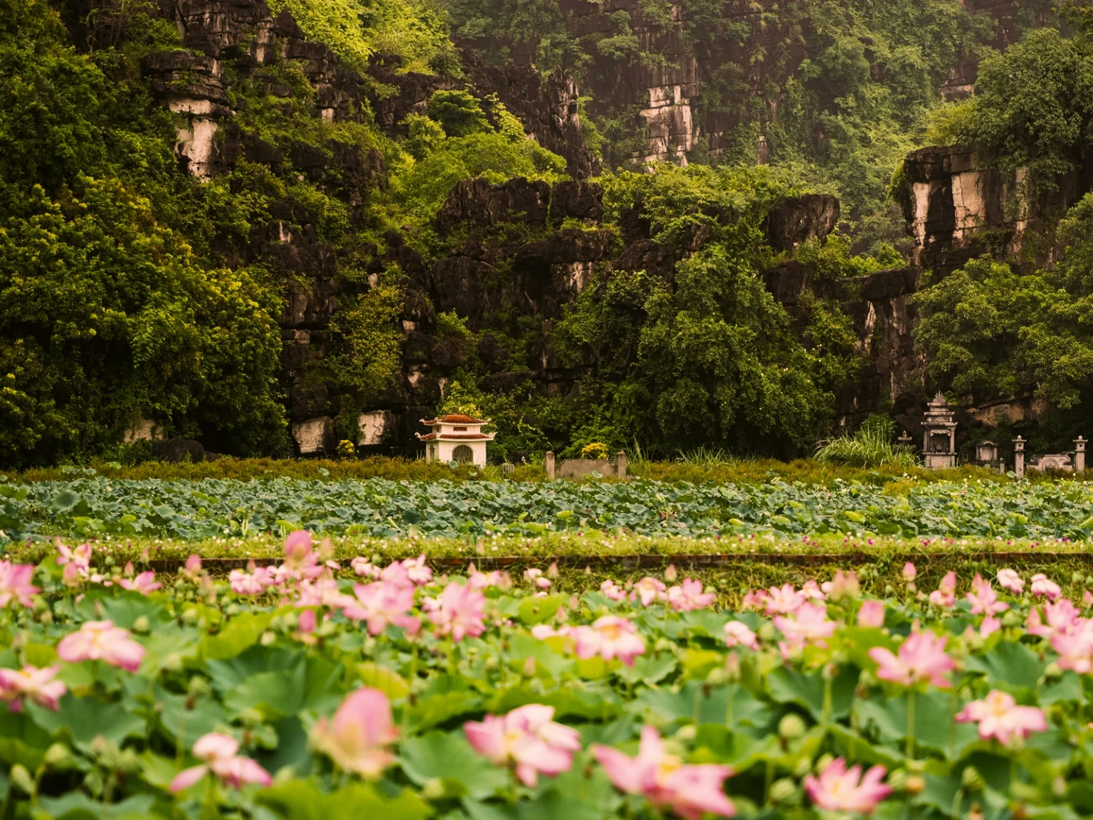 Vietnam Adventure Highs