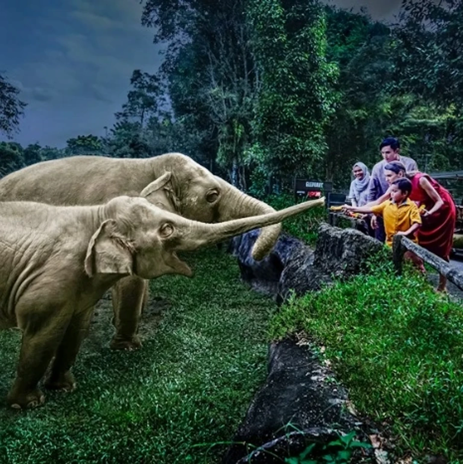 Exotic holiday package showcasing beautiful landscapes and cultural experiences in Bali.