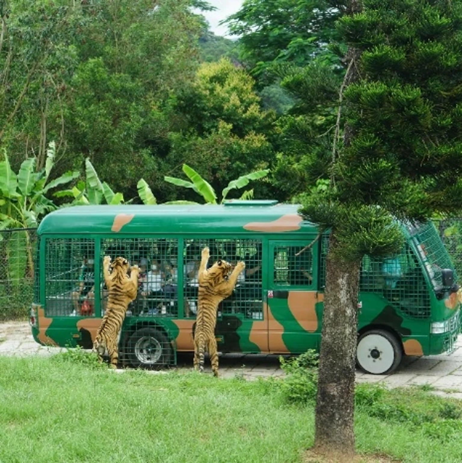 Colorful holiday packages showcasing popular tourist destinations in Vietnam.