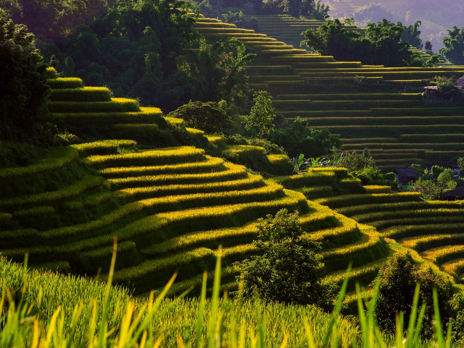 Vietnam Nature Quest
