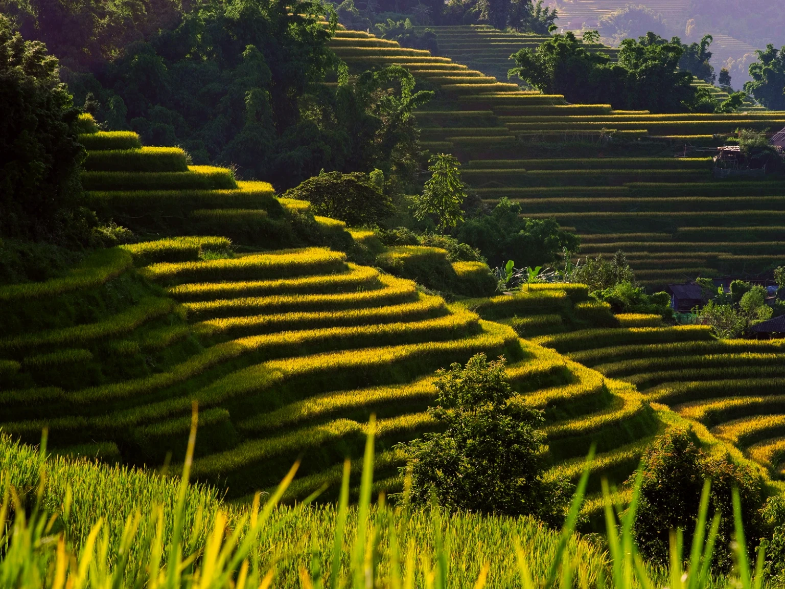Vietnam Nature Quest