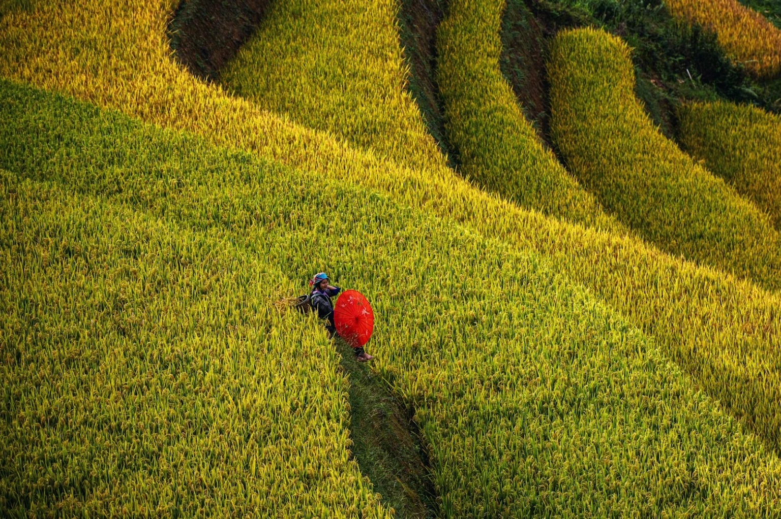 vietnam_terraced_rice_fields_ht_package_pages_ek9s6-hGPcY.jpg