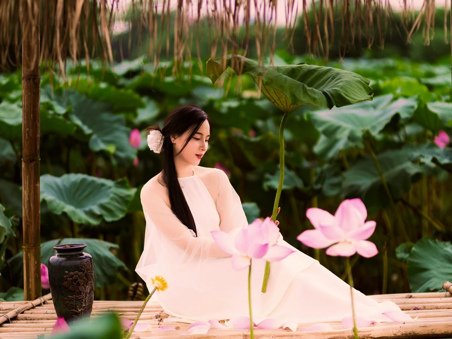 Vietnamese Serenity