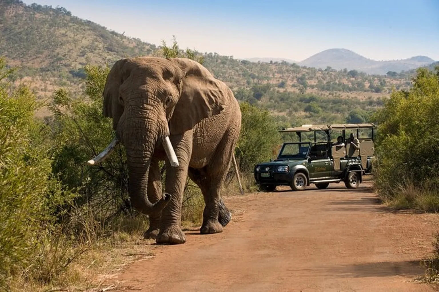 Wild & Wonderful South Africa